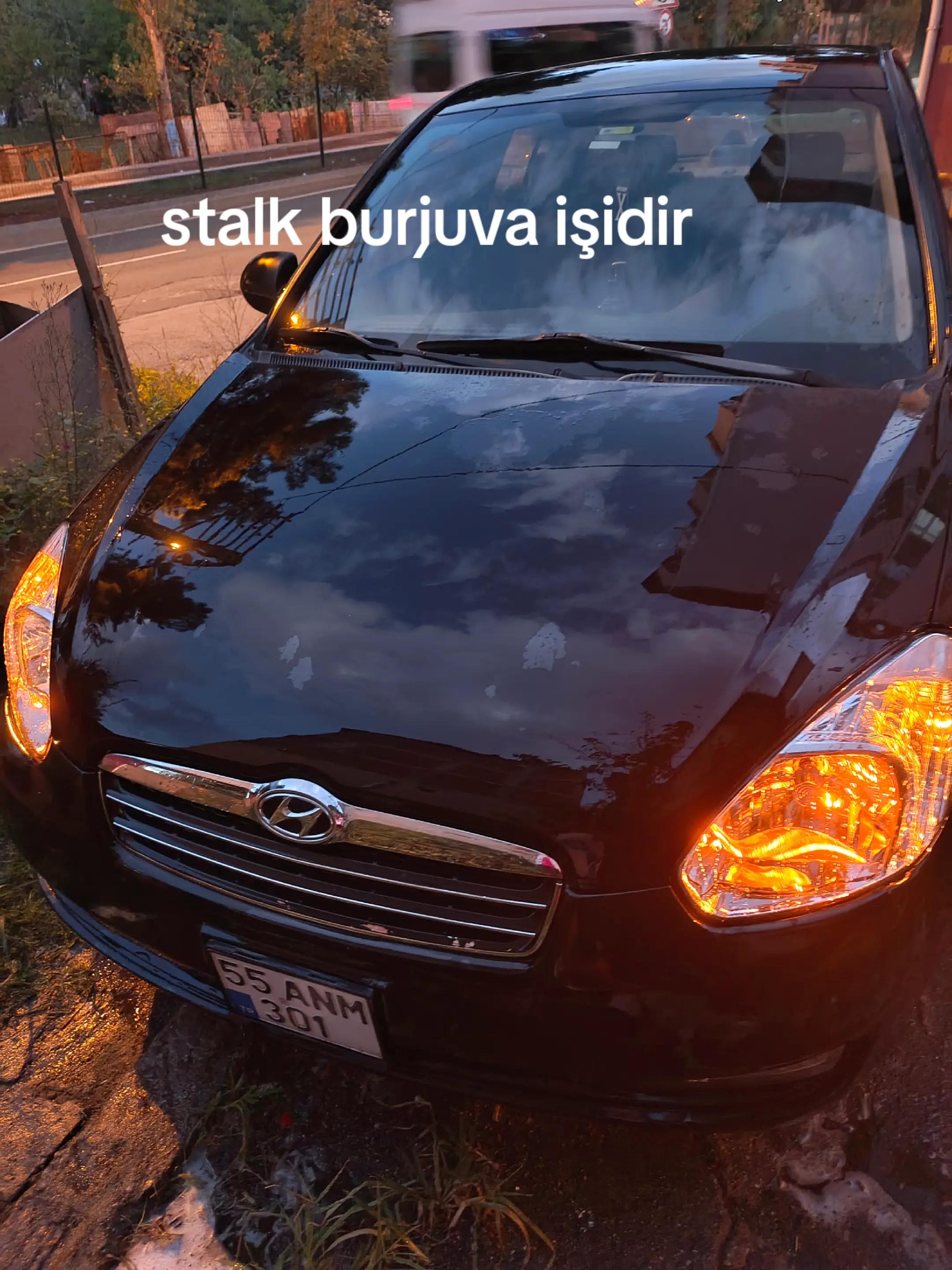 @55ANM301
