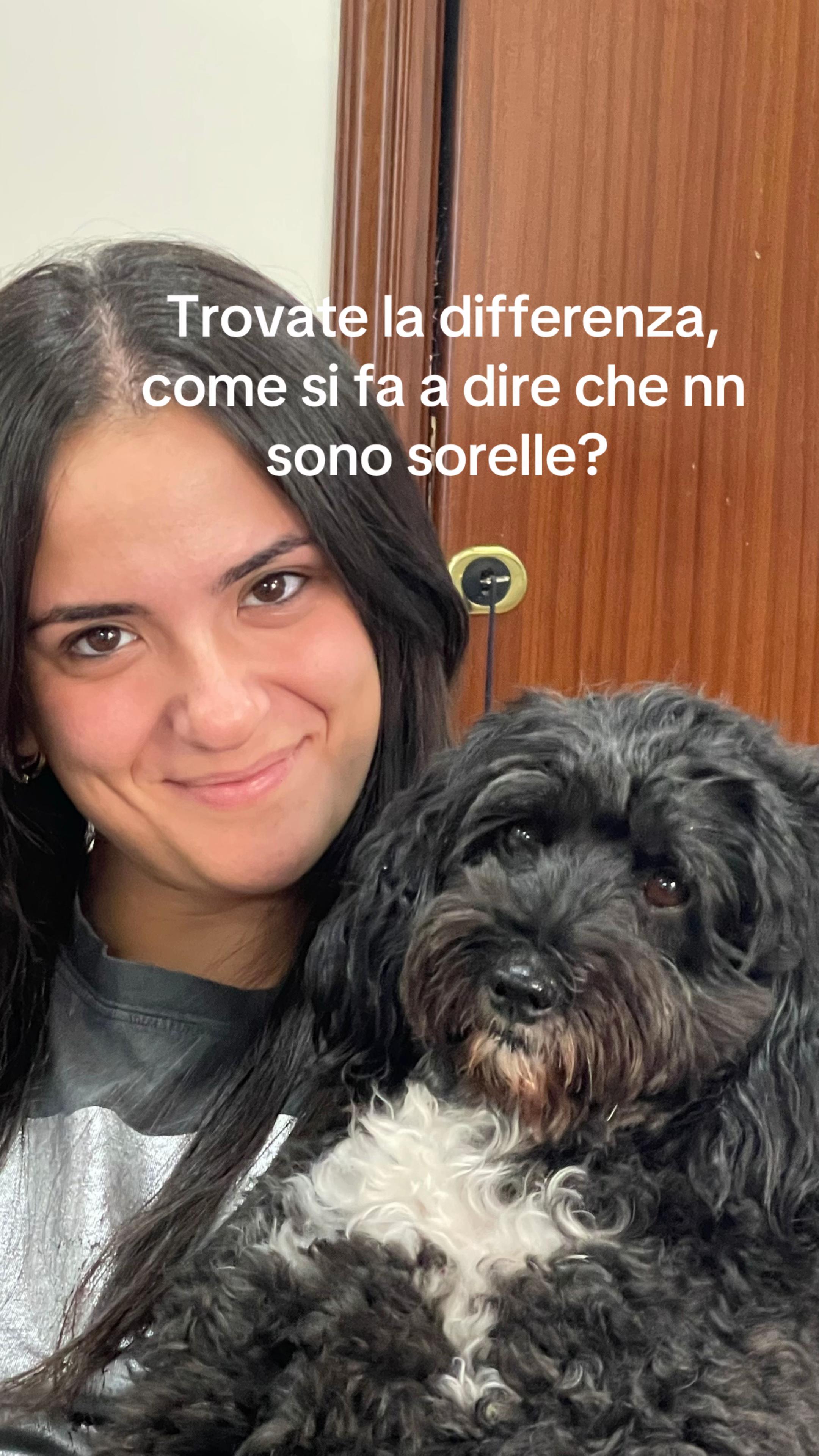 @AnellaGiaccio 🎀