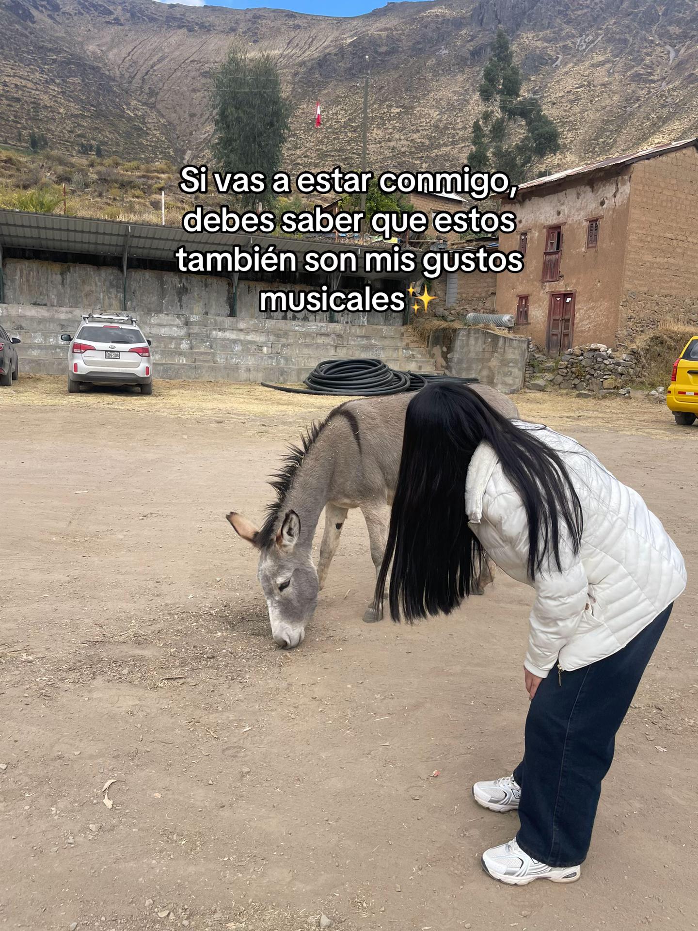 @Nico🦖