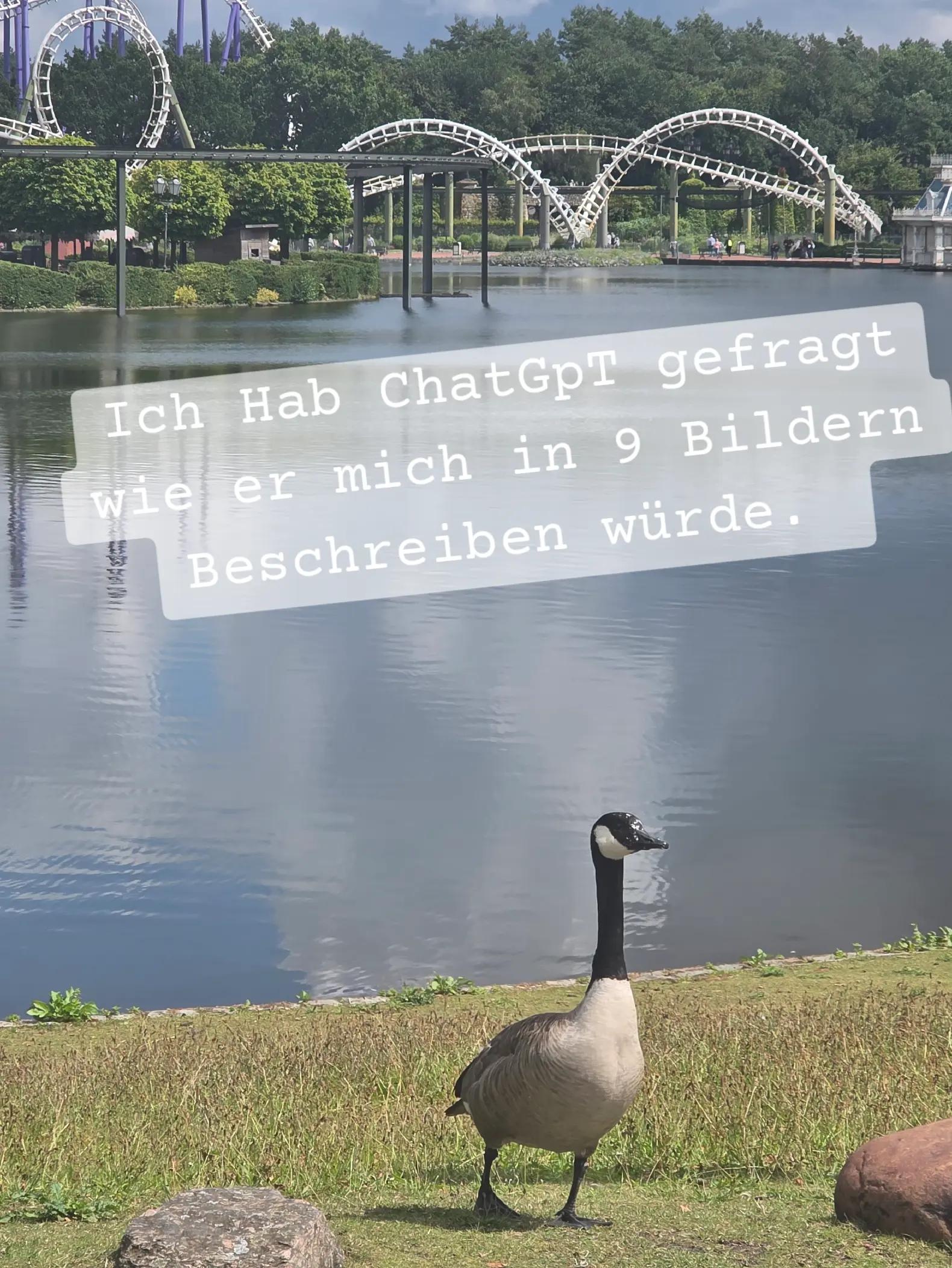 @Gestoerte-Olle 😀🤣