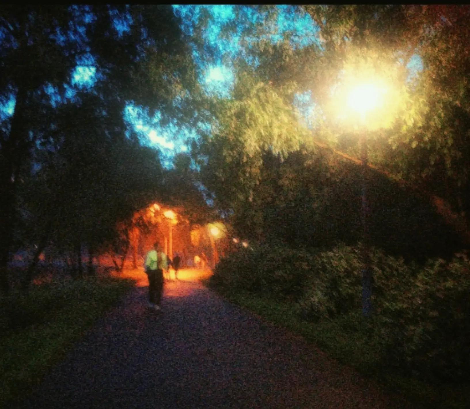 @✞🐈&zwj;⬛𝔅𝔩𝔞𝔠𝔨𝔦𝔢🌲⛤