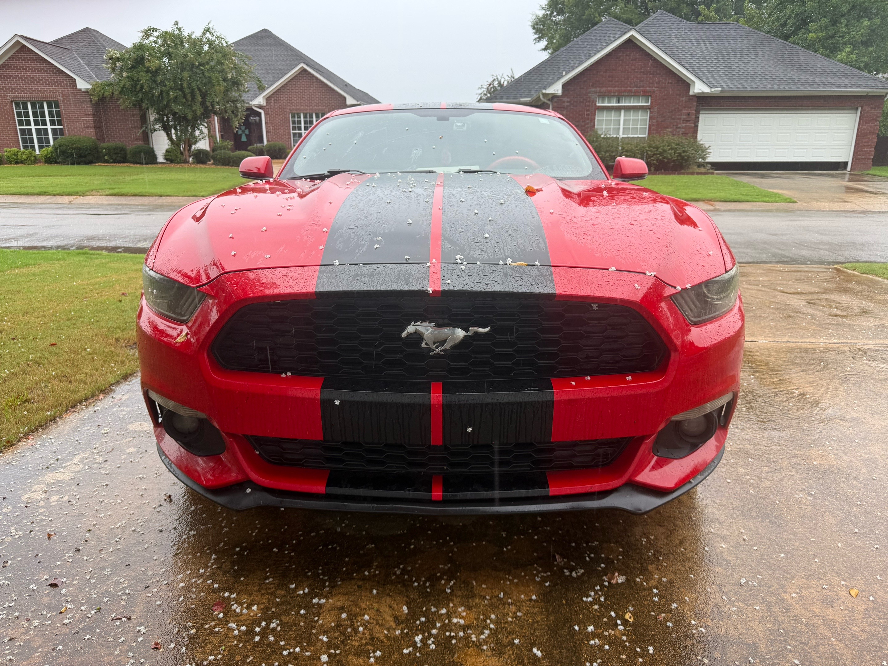 @datredgmc2025🦆