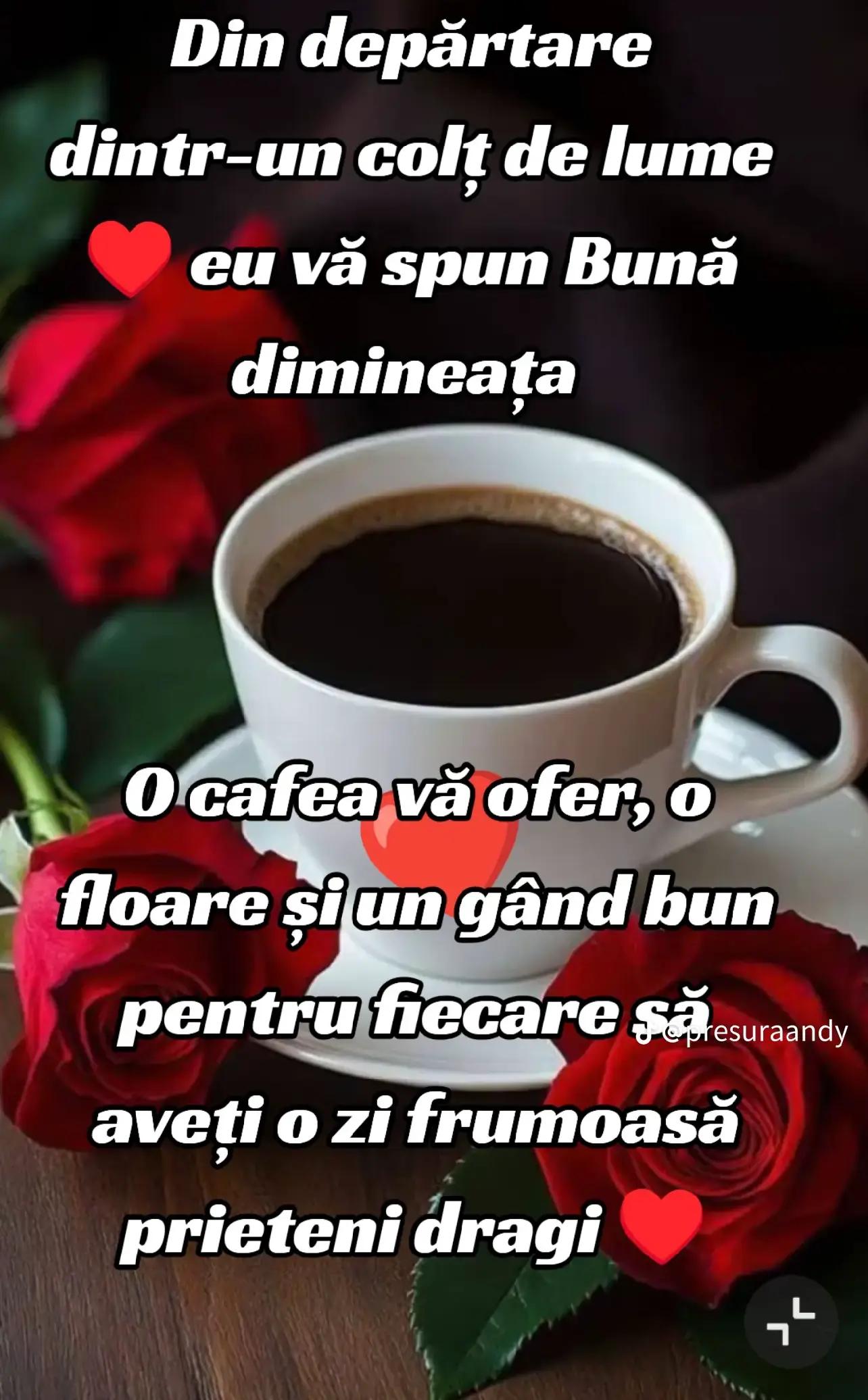 @singura a nimanui!
