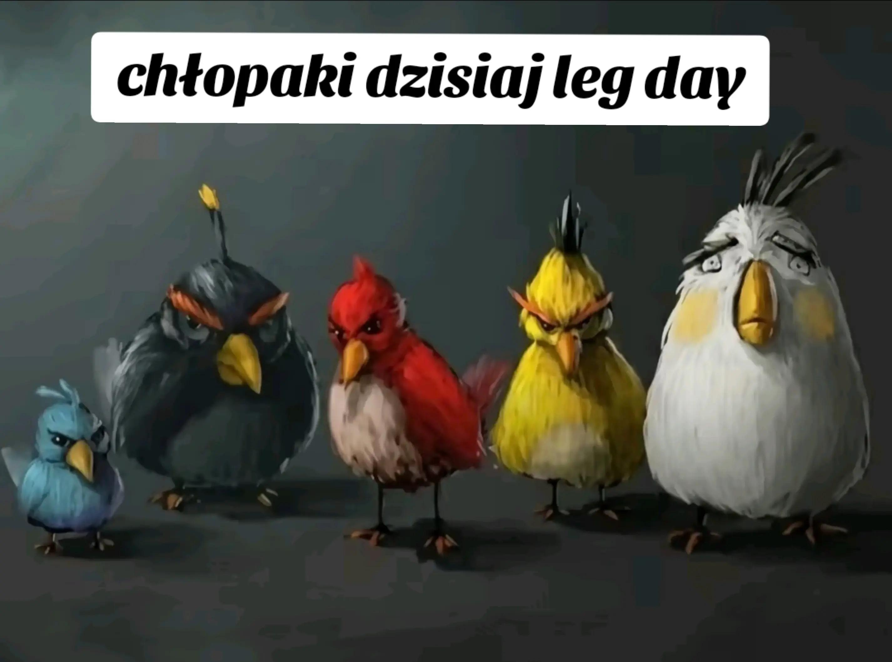 @Zyzio_CR