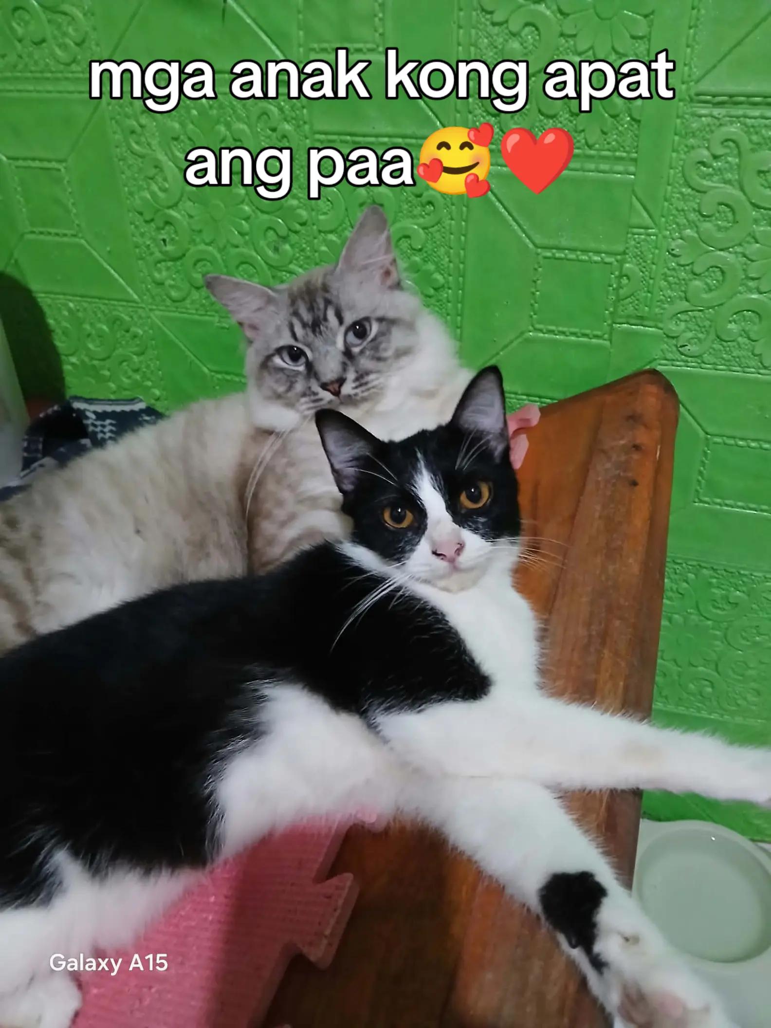 @Mommy mitzy