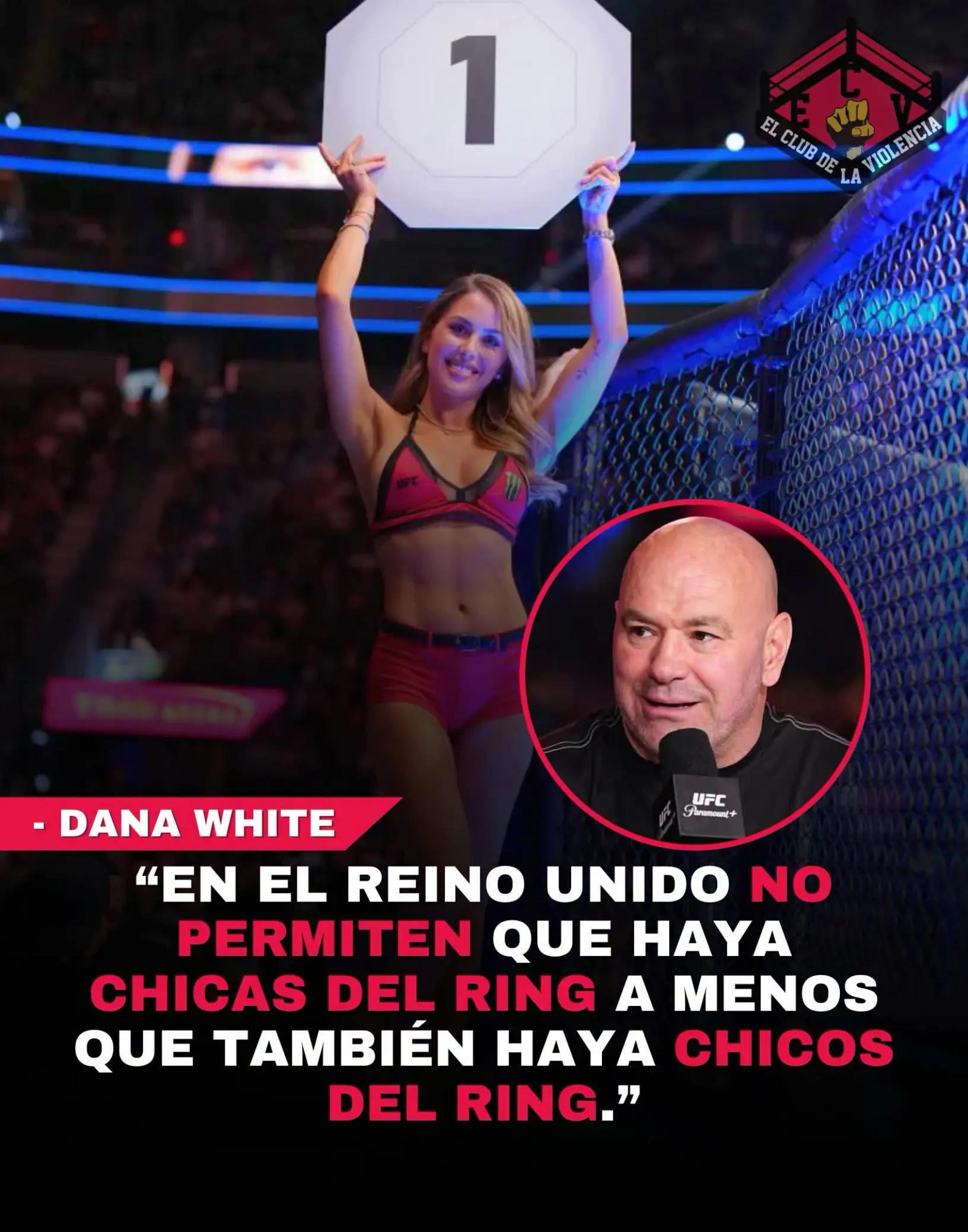 @El Club de la Violencia👊🏼💥