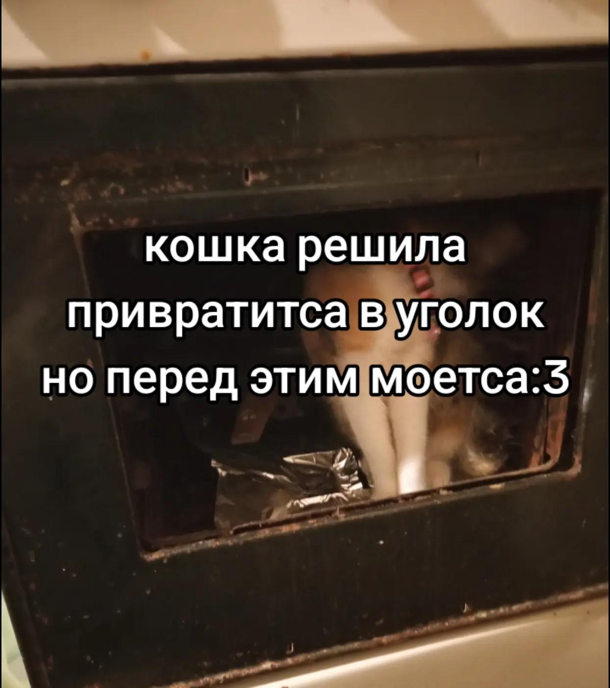@временная( болезнь моя жизнь!