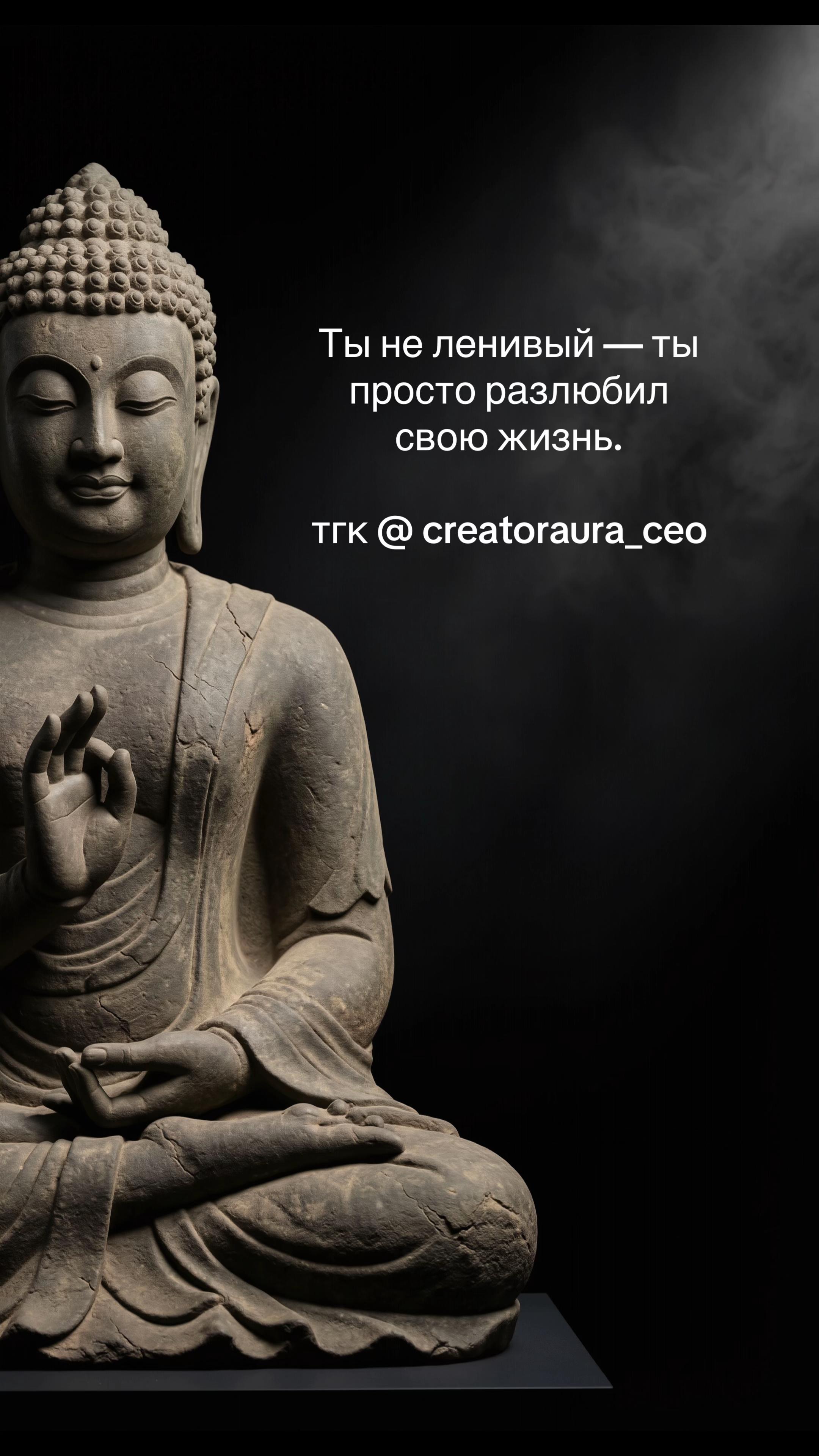 @CreatorAura CEO