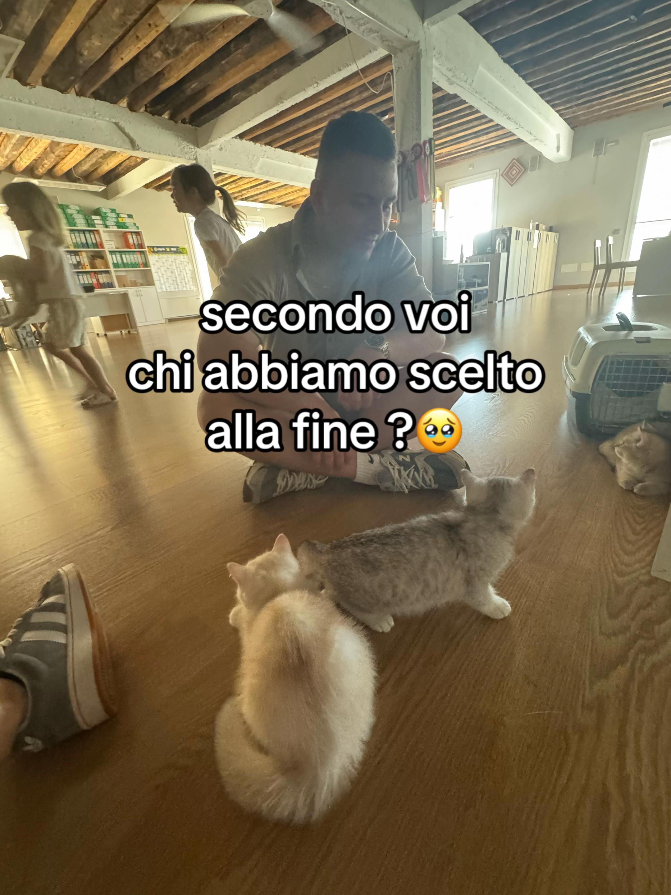 @Elisabetta|โ๏ธ๐ง ๐ฉ๐ป๐ป