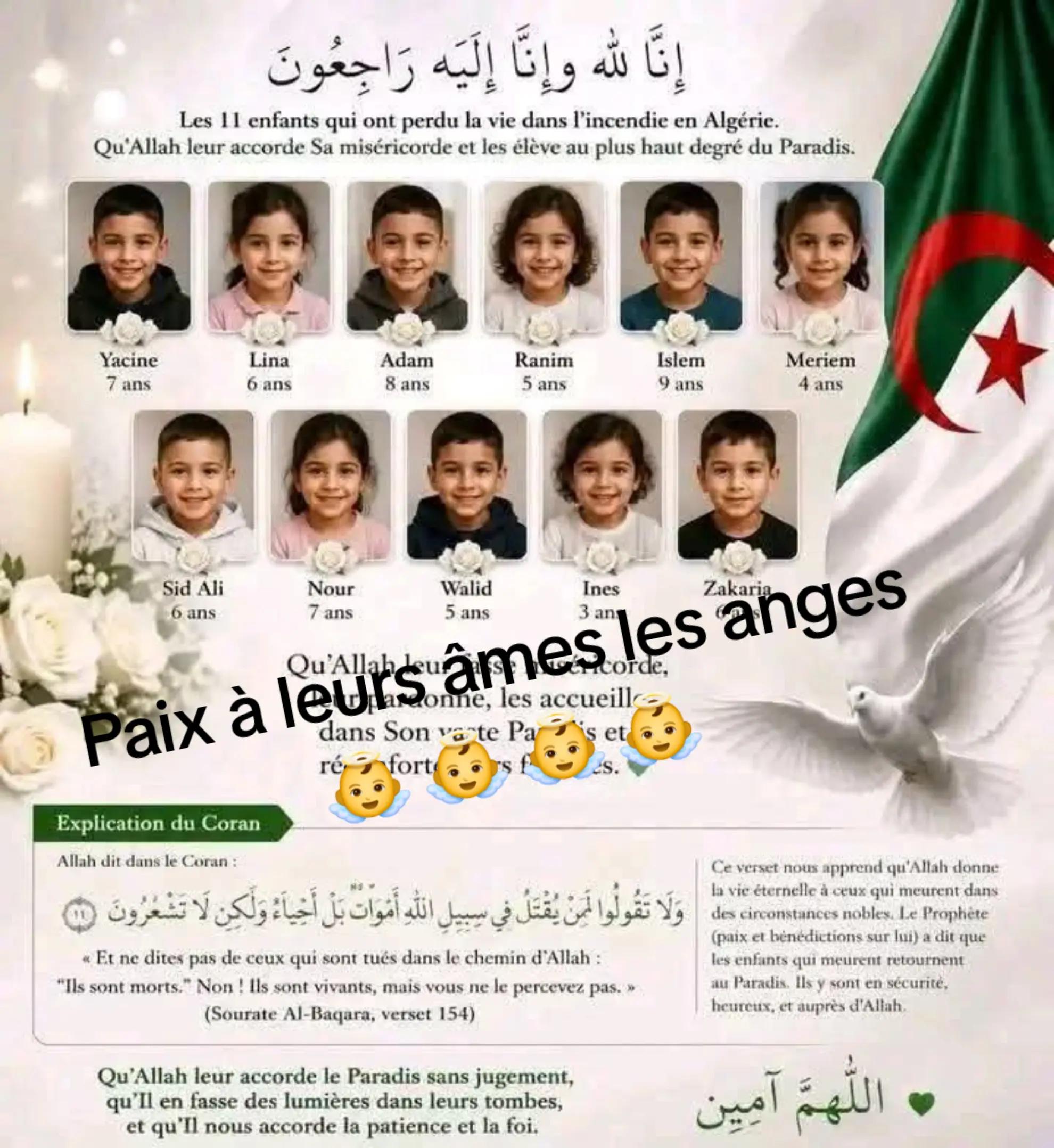 @Le boss 💛💚🇩🇿