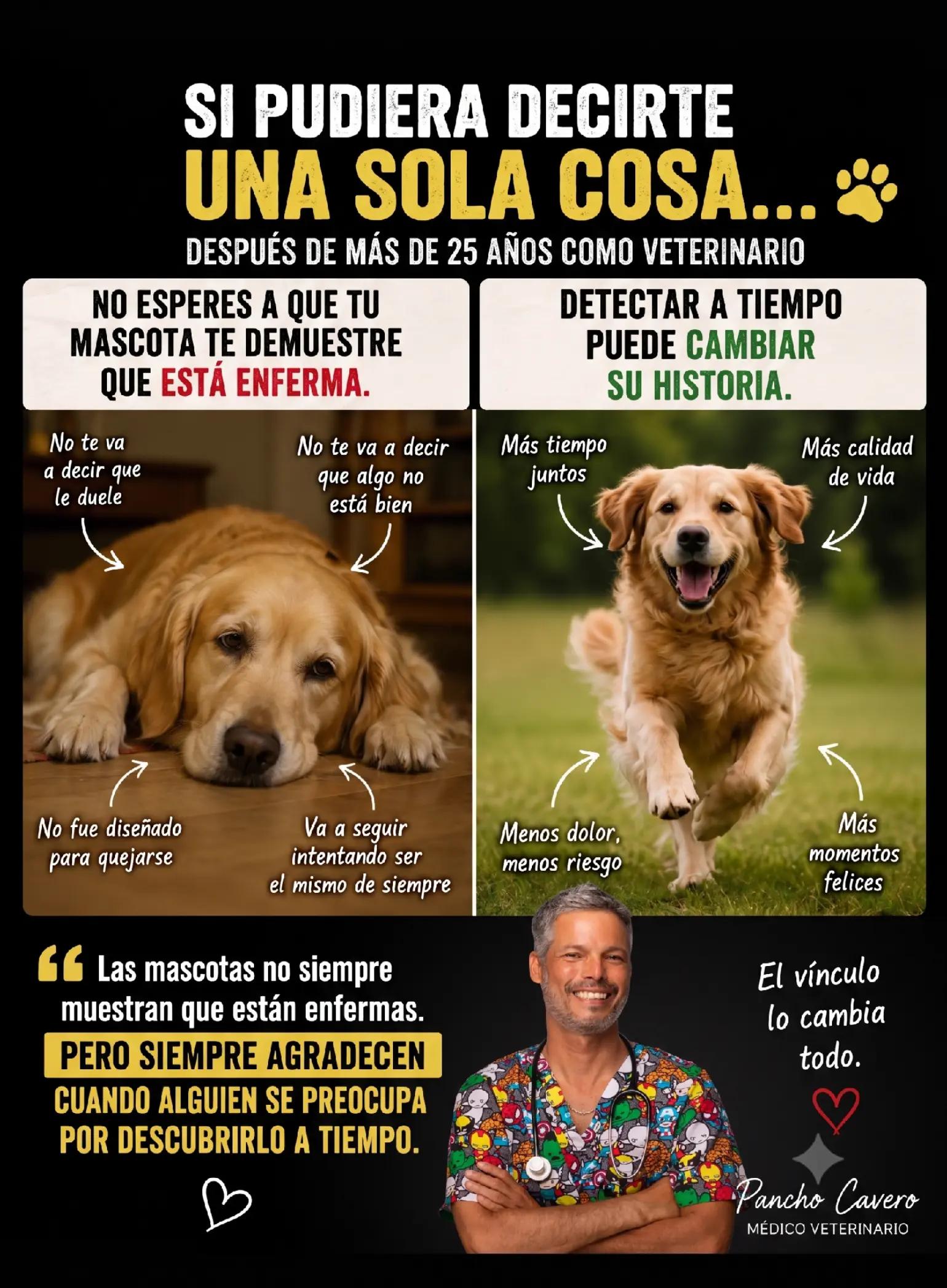 @Pancho Cavero