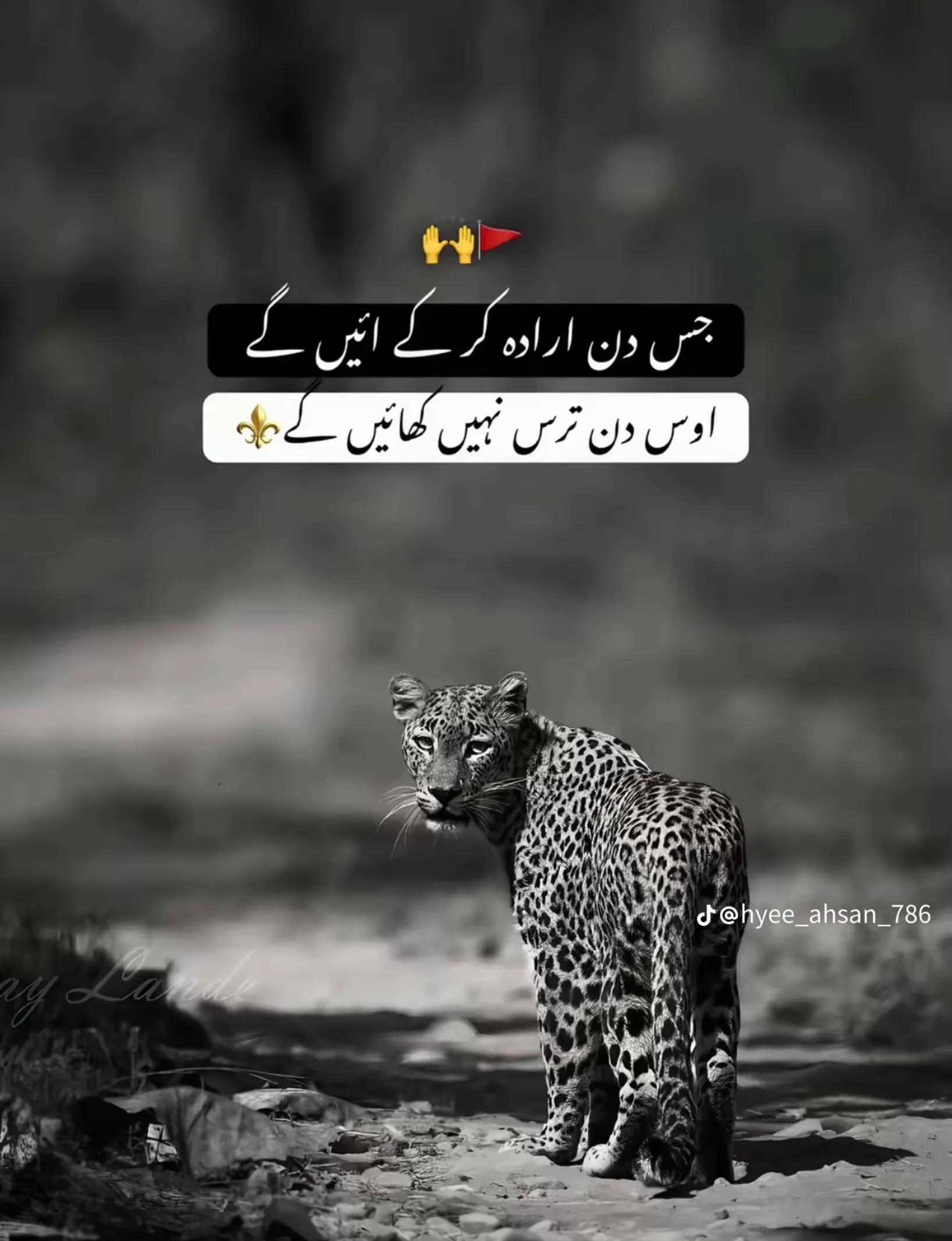 @پنڈا آلے جٹ 💯😊🚩