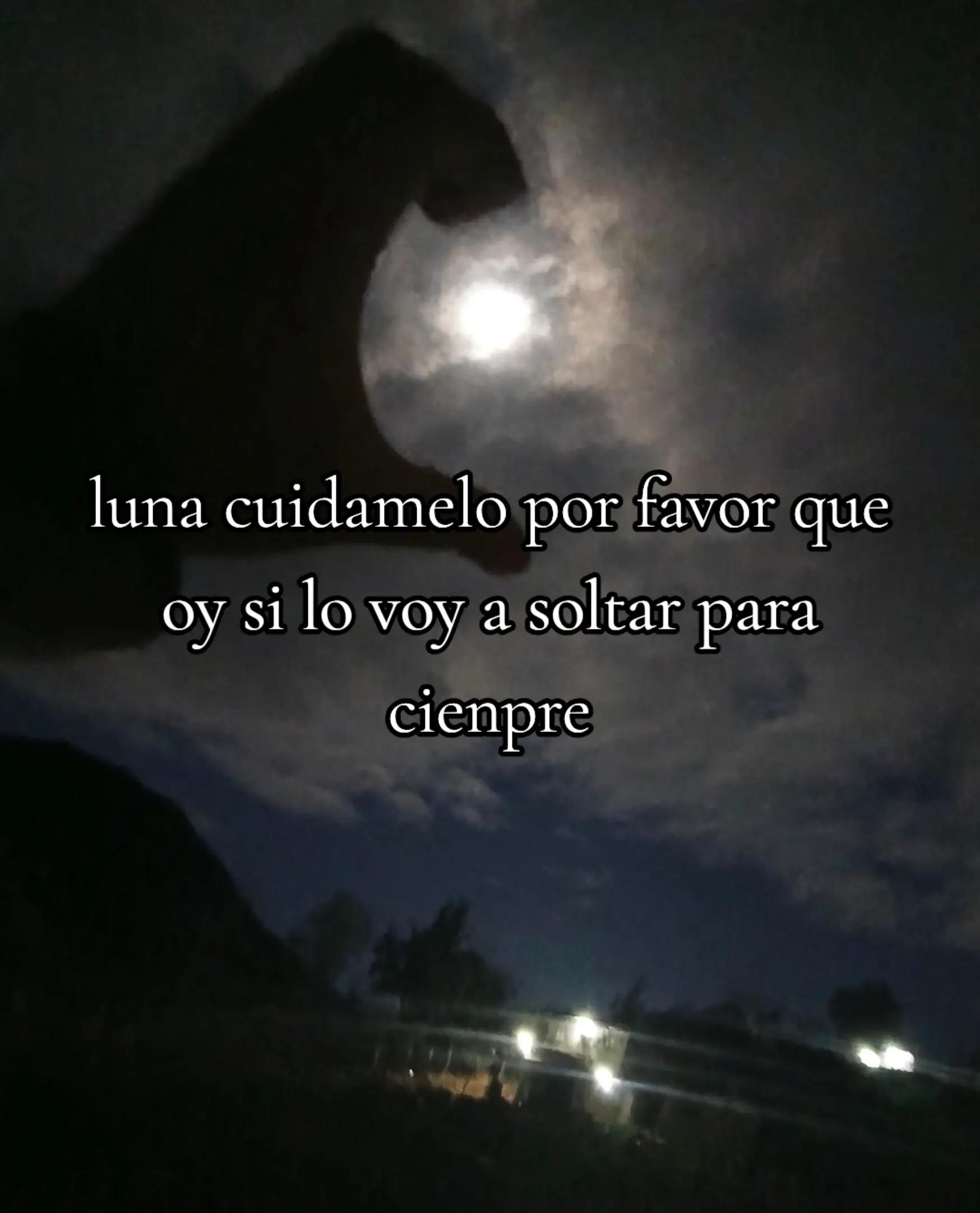 @dlaura sanchez🍀🍀
