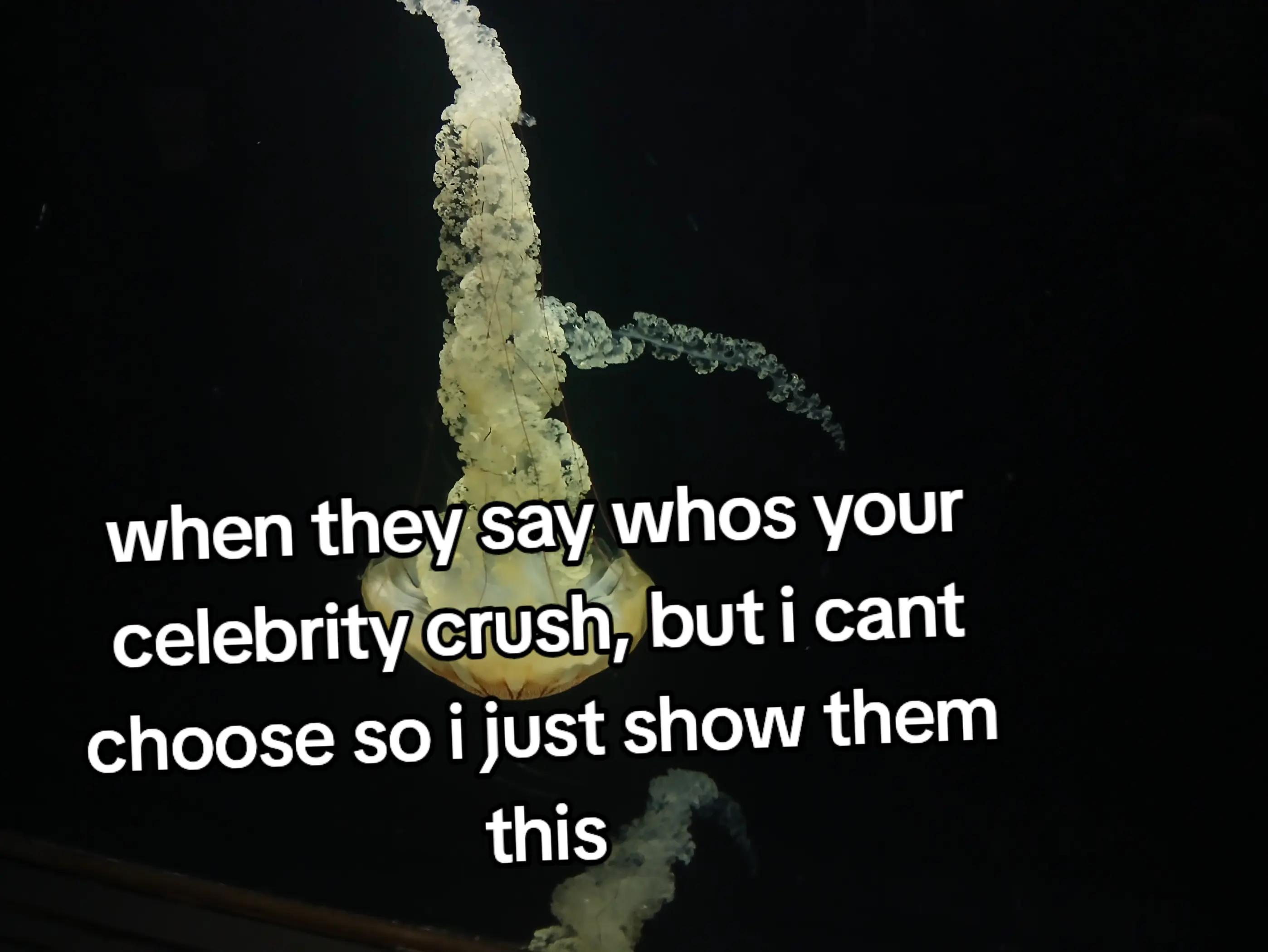 @𝓛 𝓔 𝓐 🚤🏖