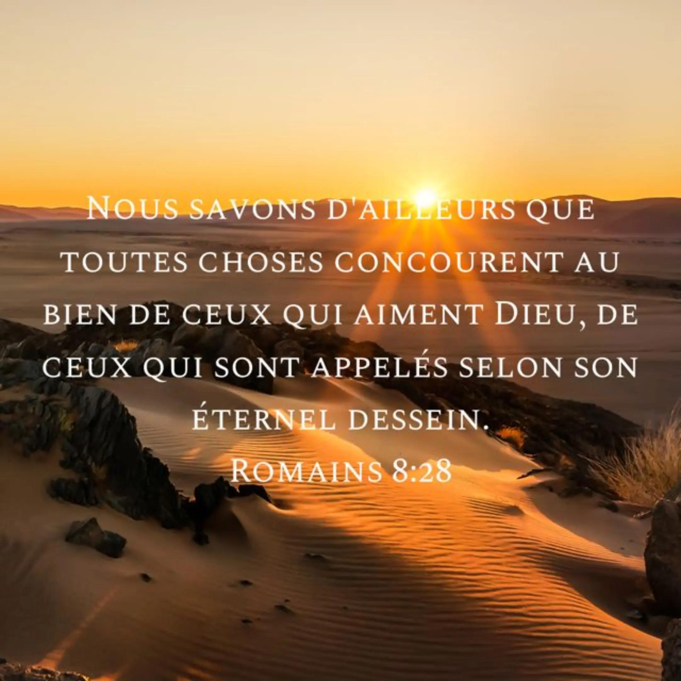 @avis&conseils