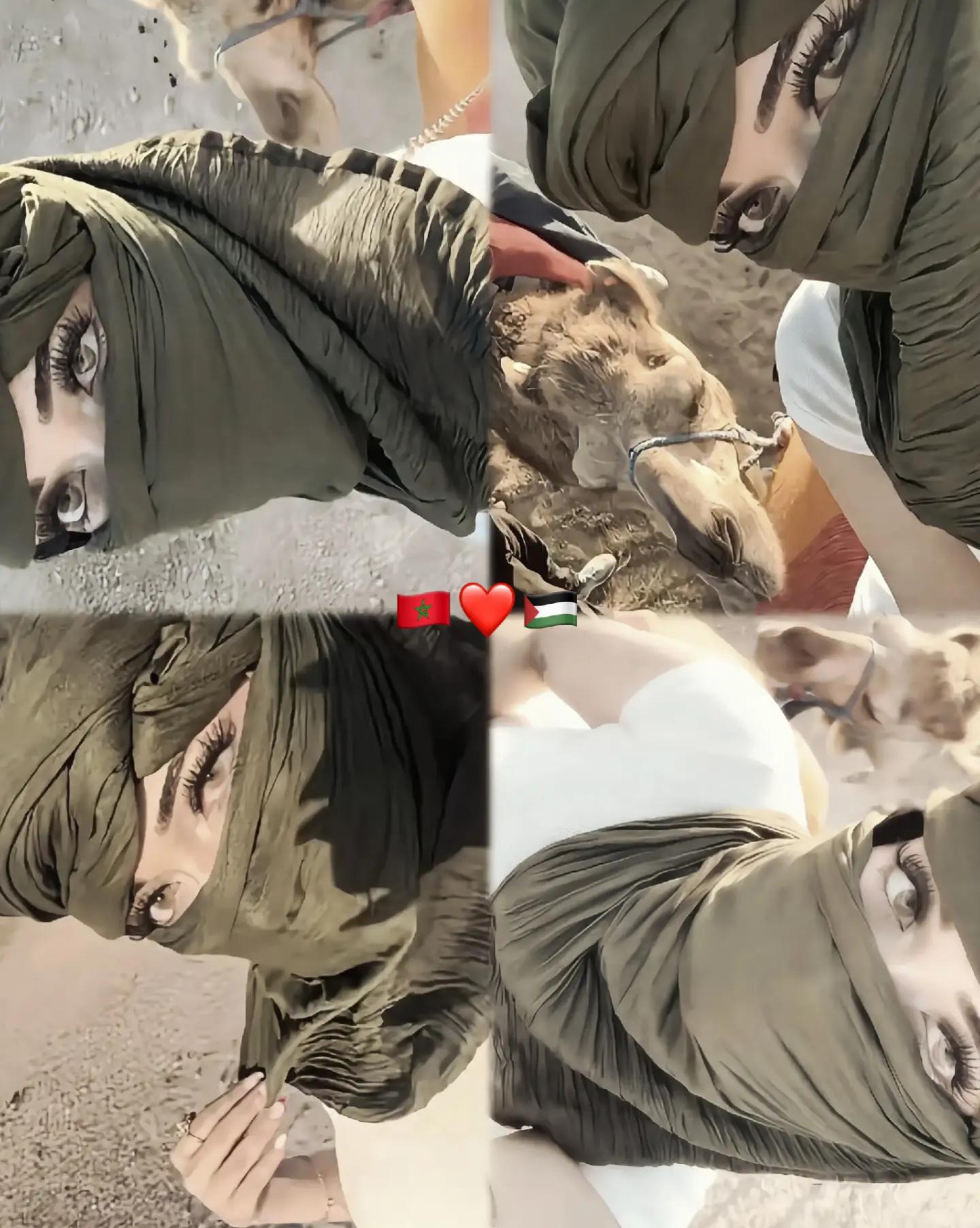 @𓆩 𝐀𝐑𝐖𝐀 𓆪