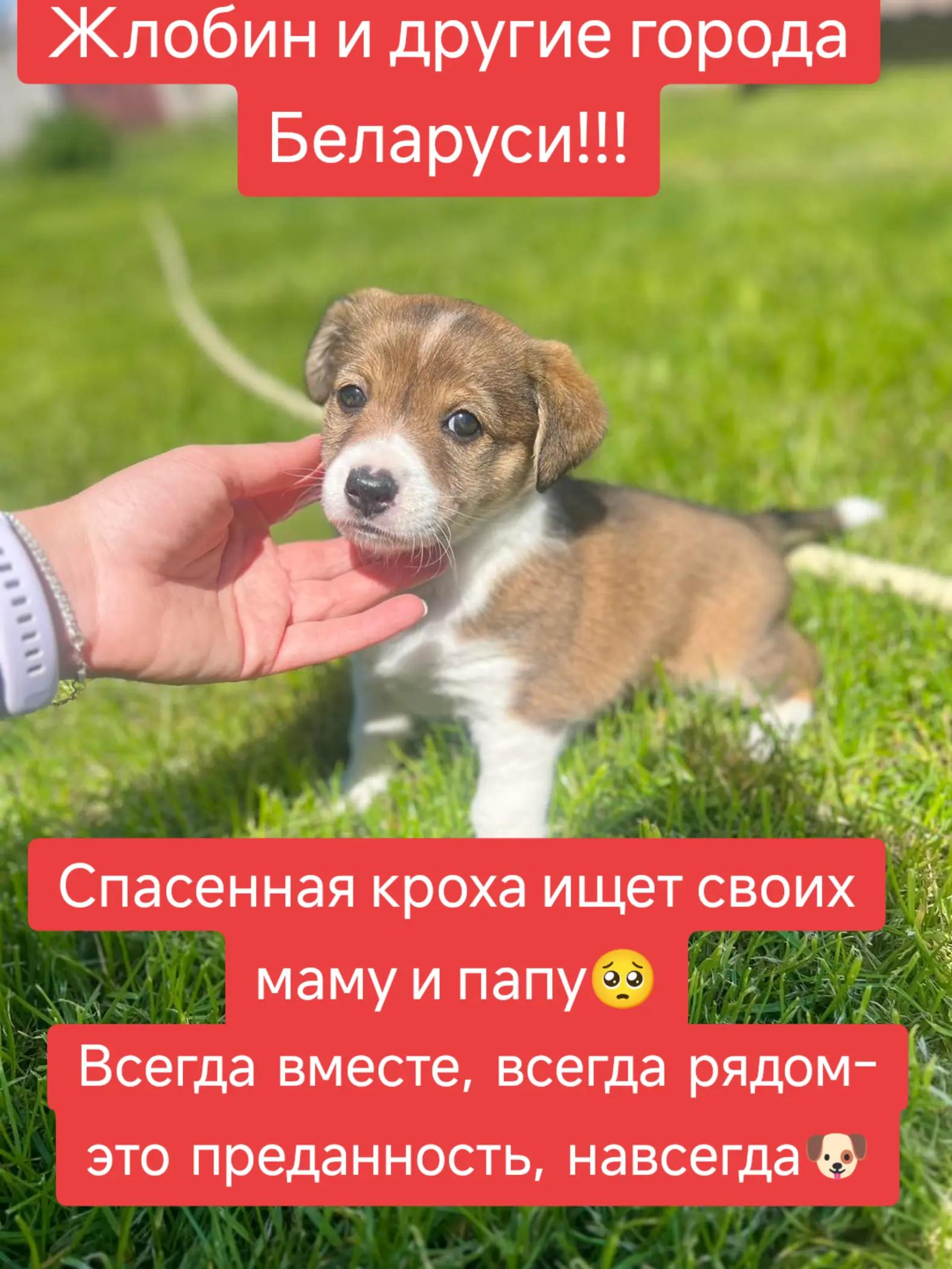 @Светлана Козлова