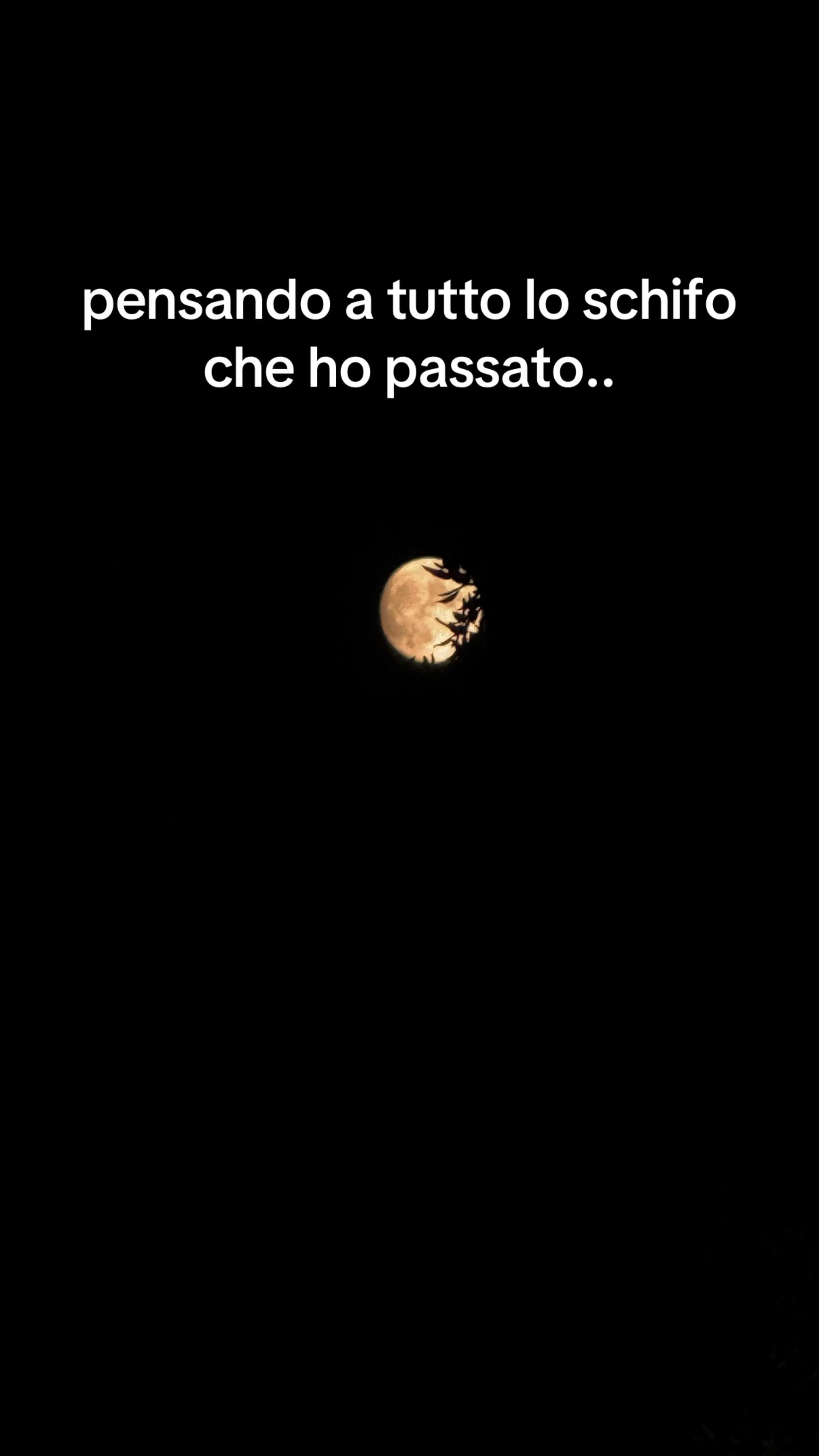 @Antonella