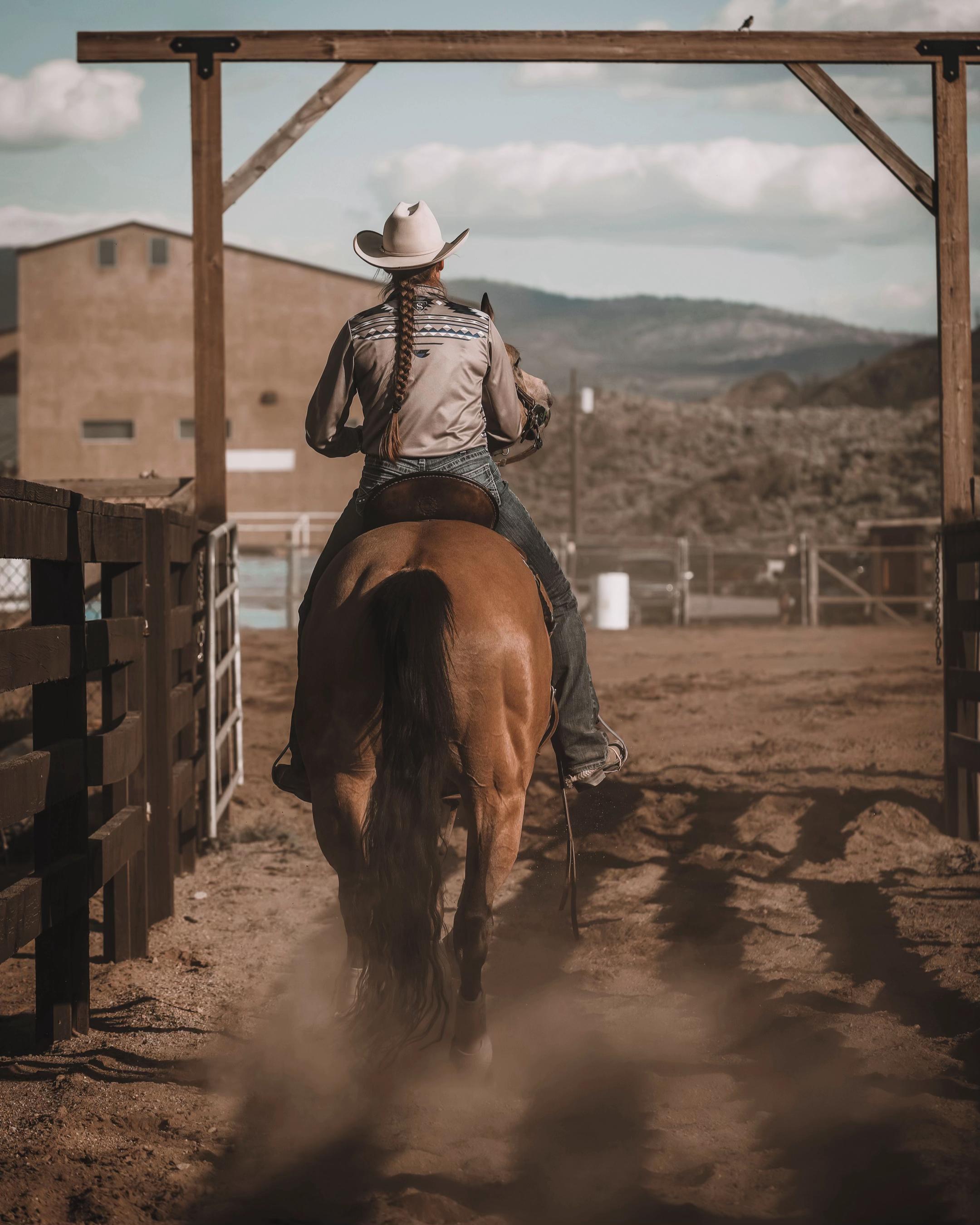 @Diamond W Barrel Horses 🇨🇦