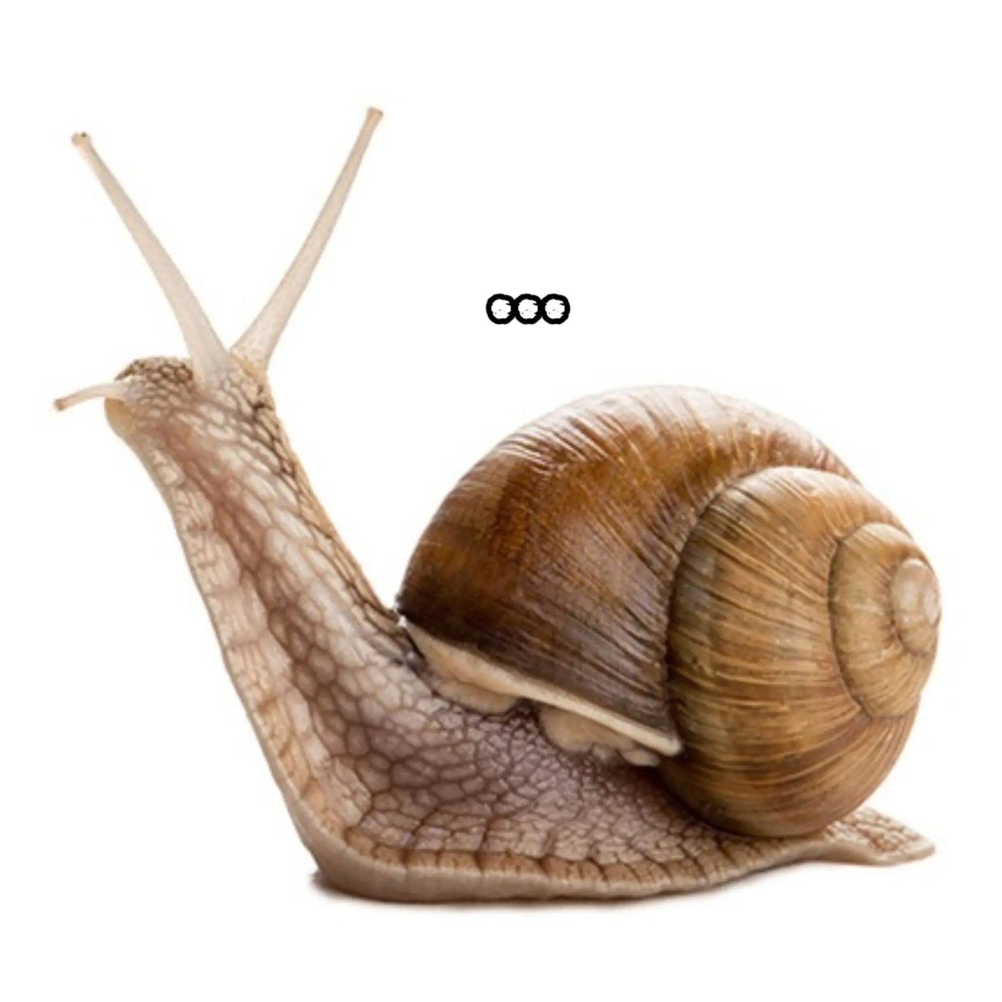 @𝗗𝗮𝗿𝗸
