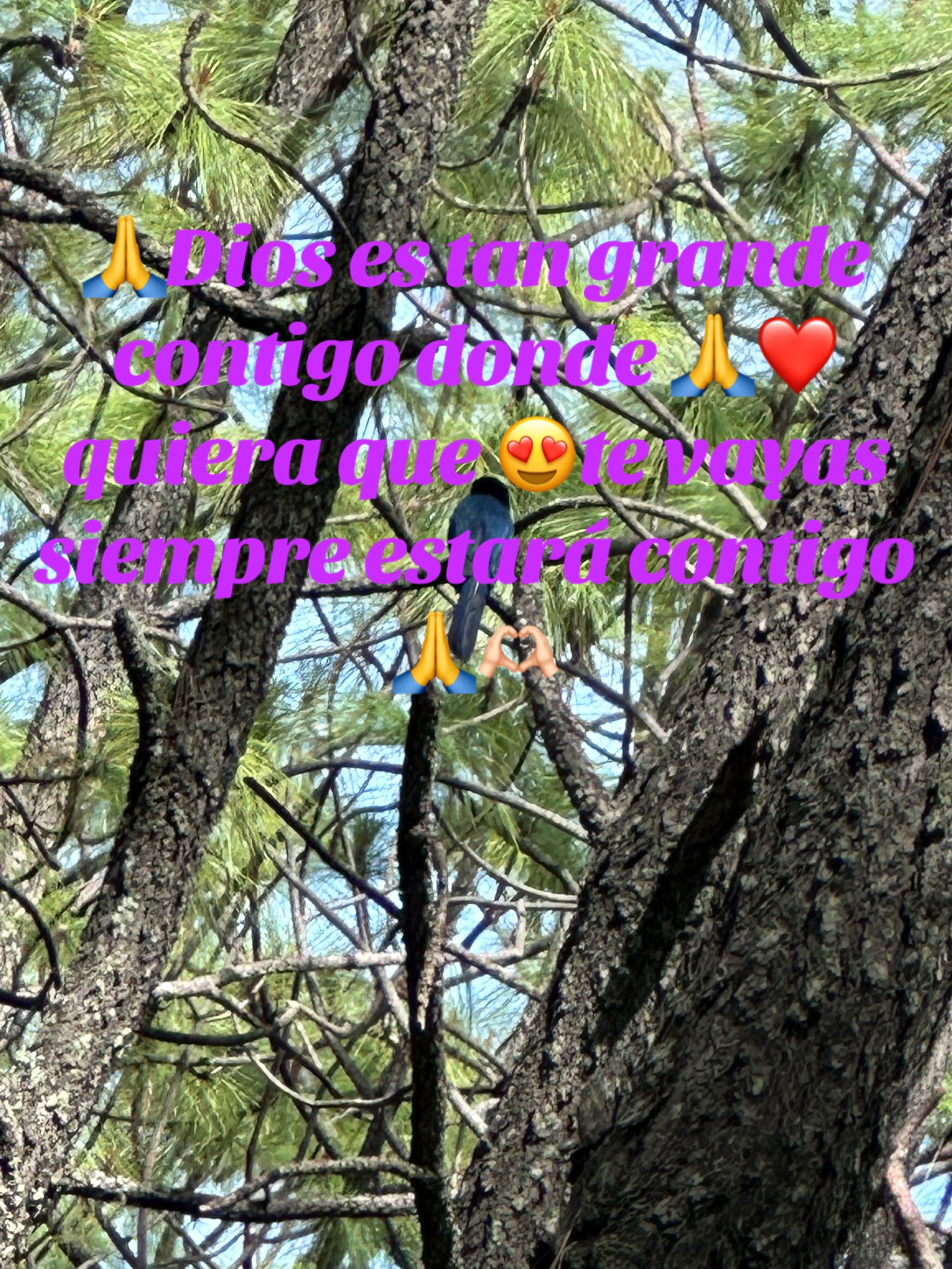@Elena