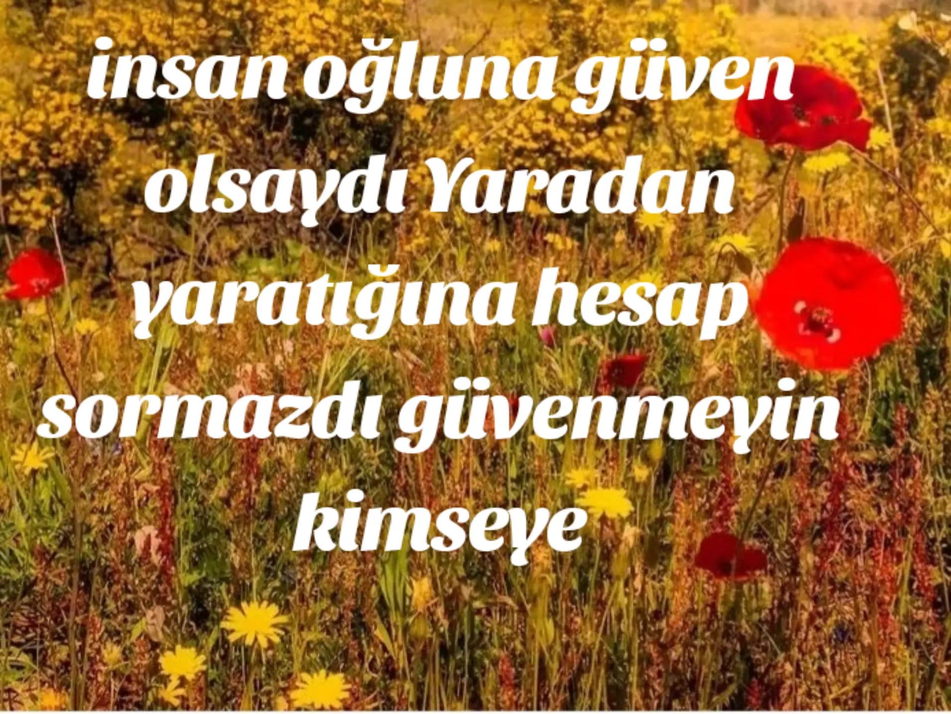 @sevim