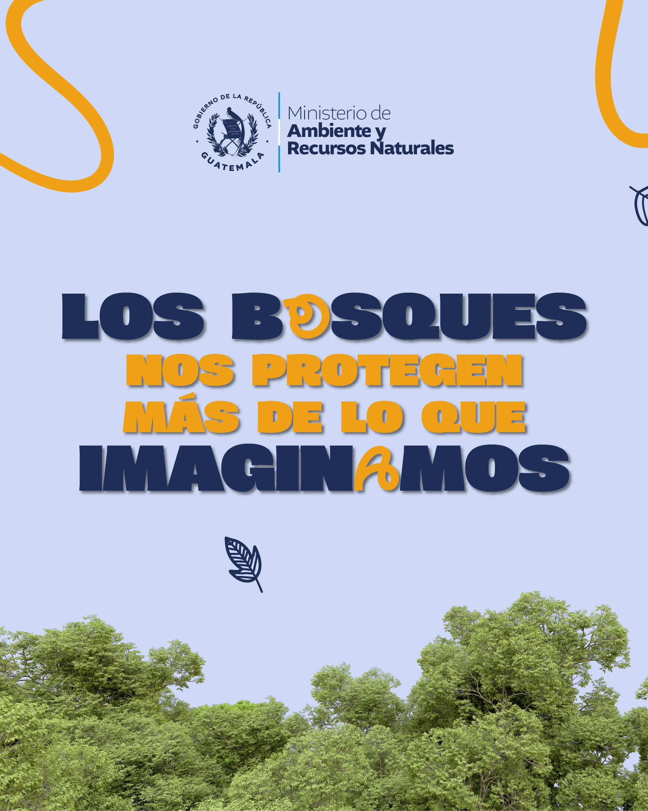 @Ministerio de Ambiente GT