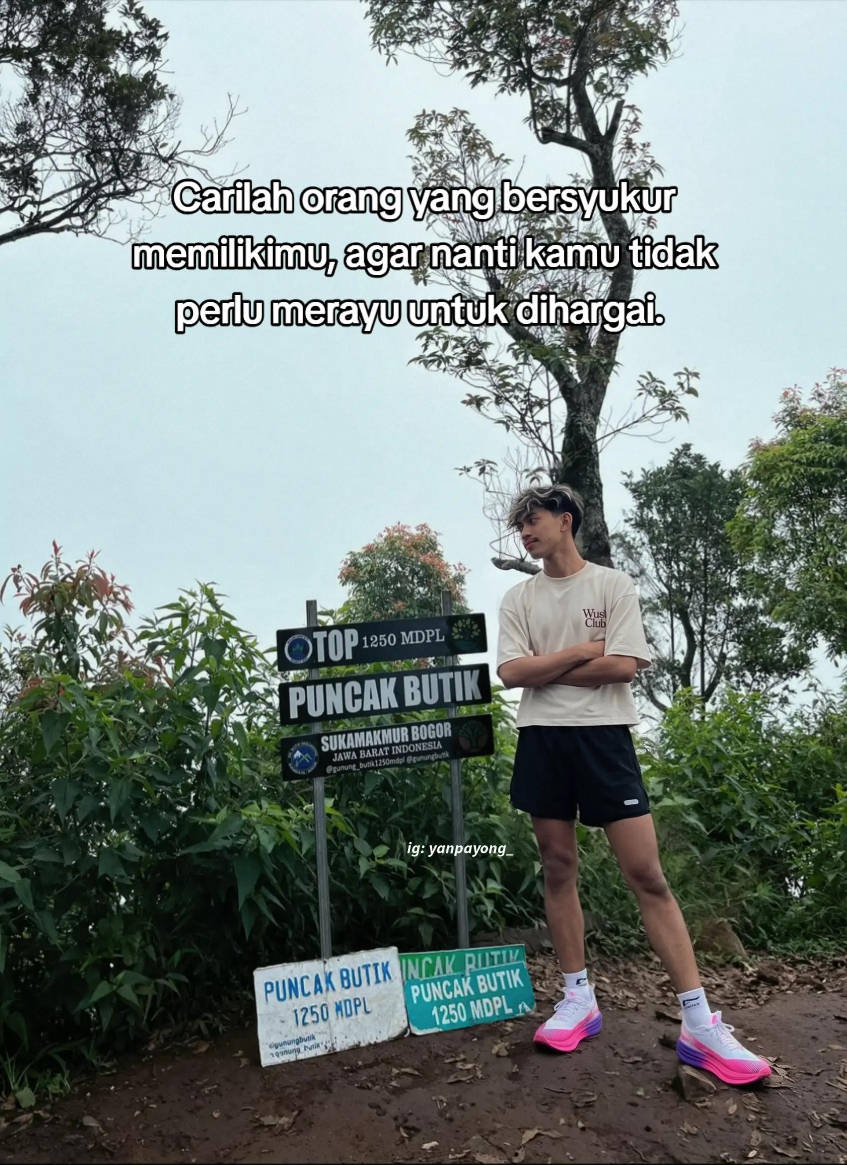 @Hiyann🐺