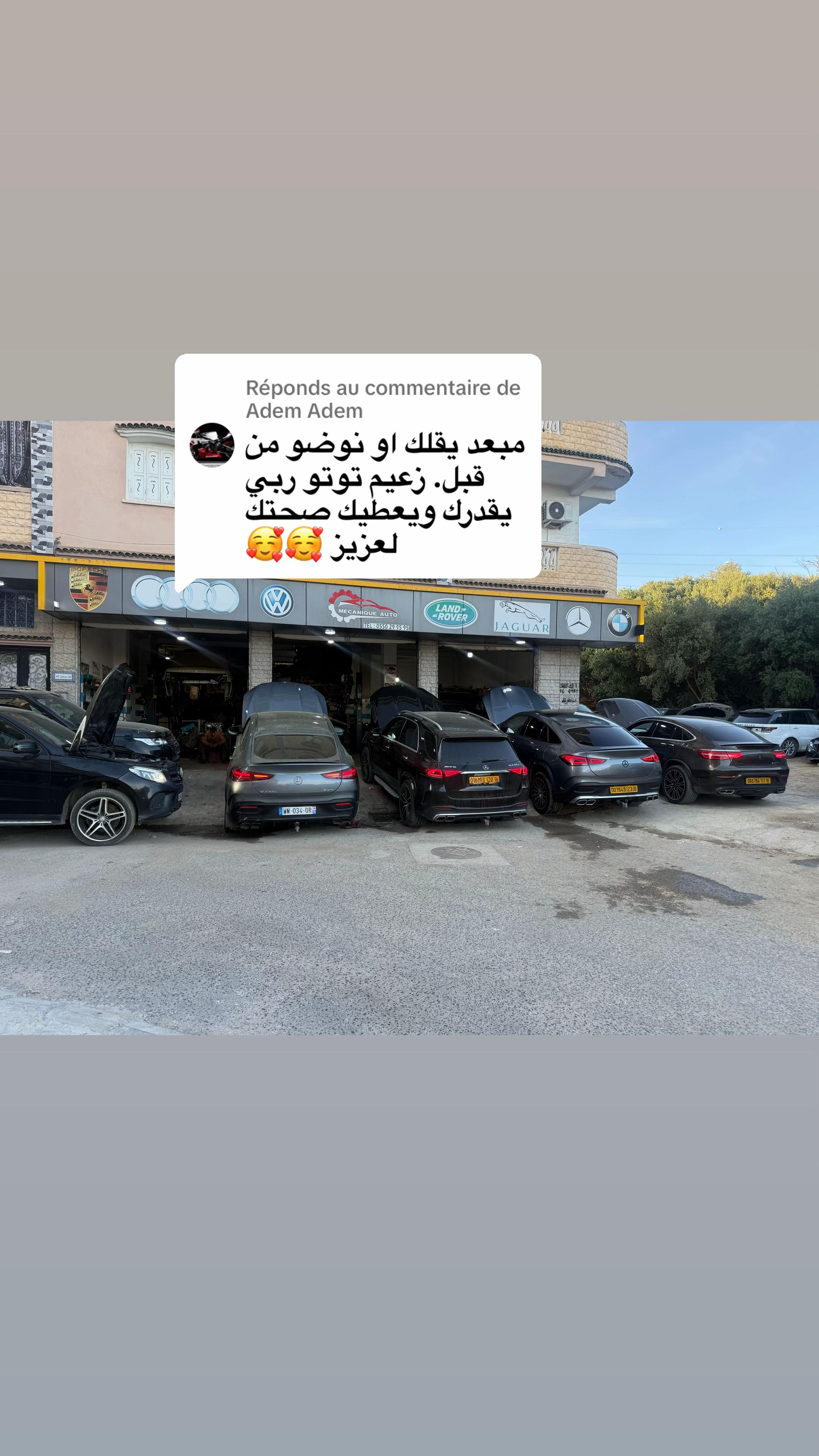 @toutou rangerover
