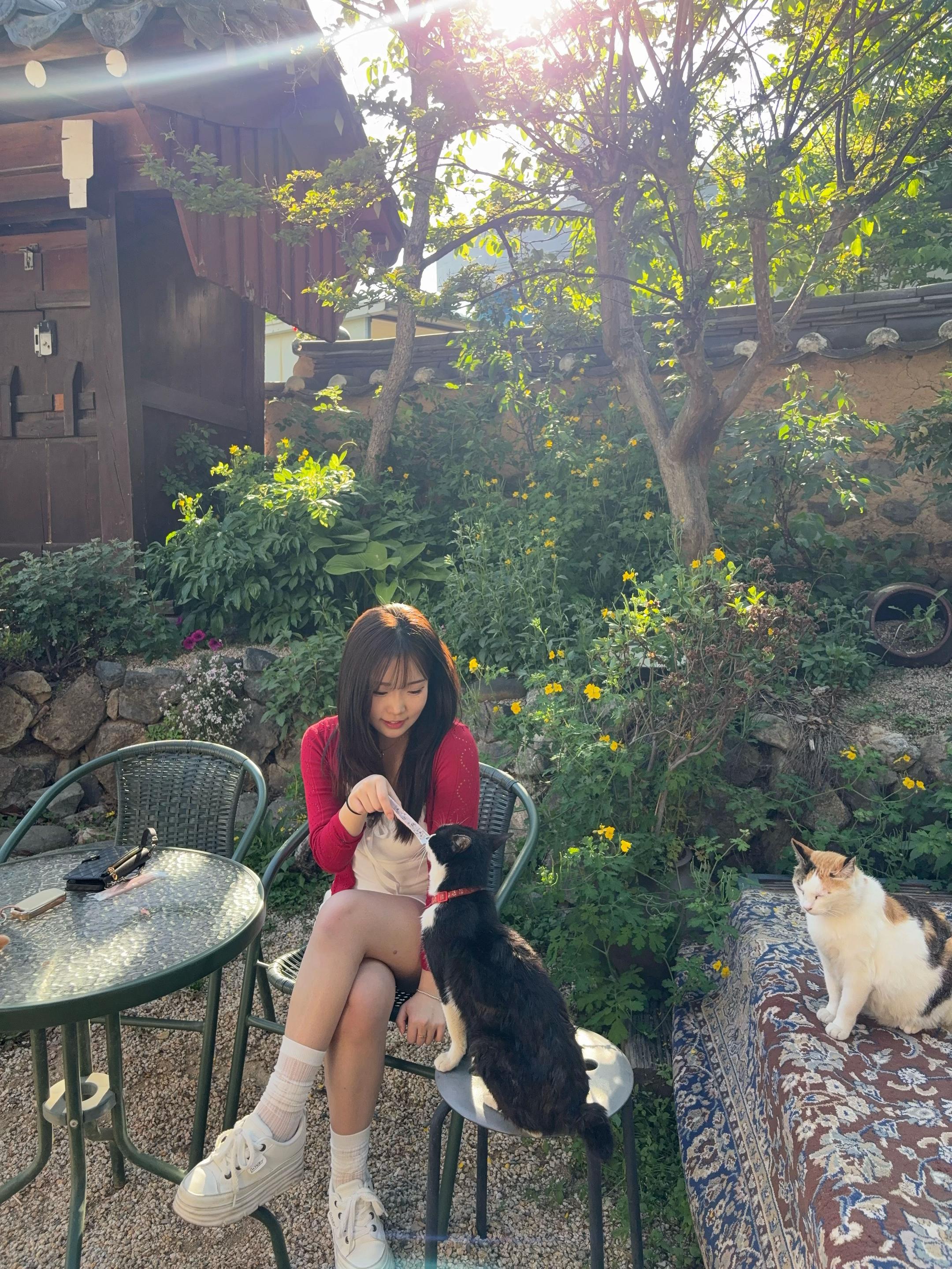 @백사 십팔