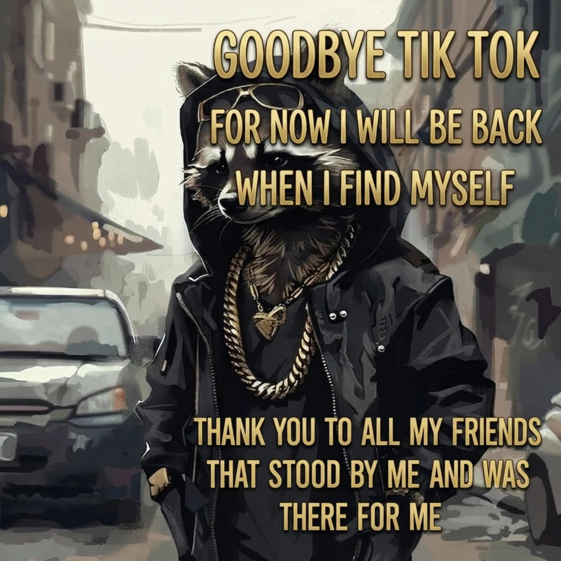 @DementedRaccoon