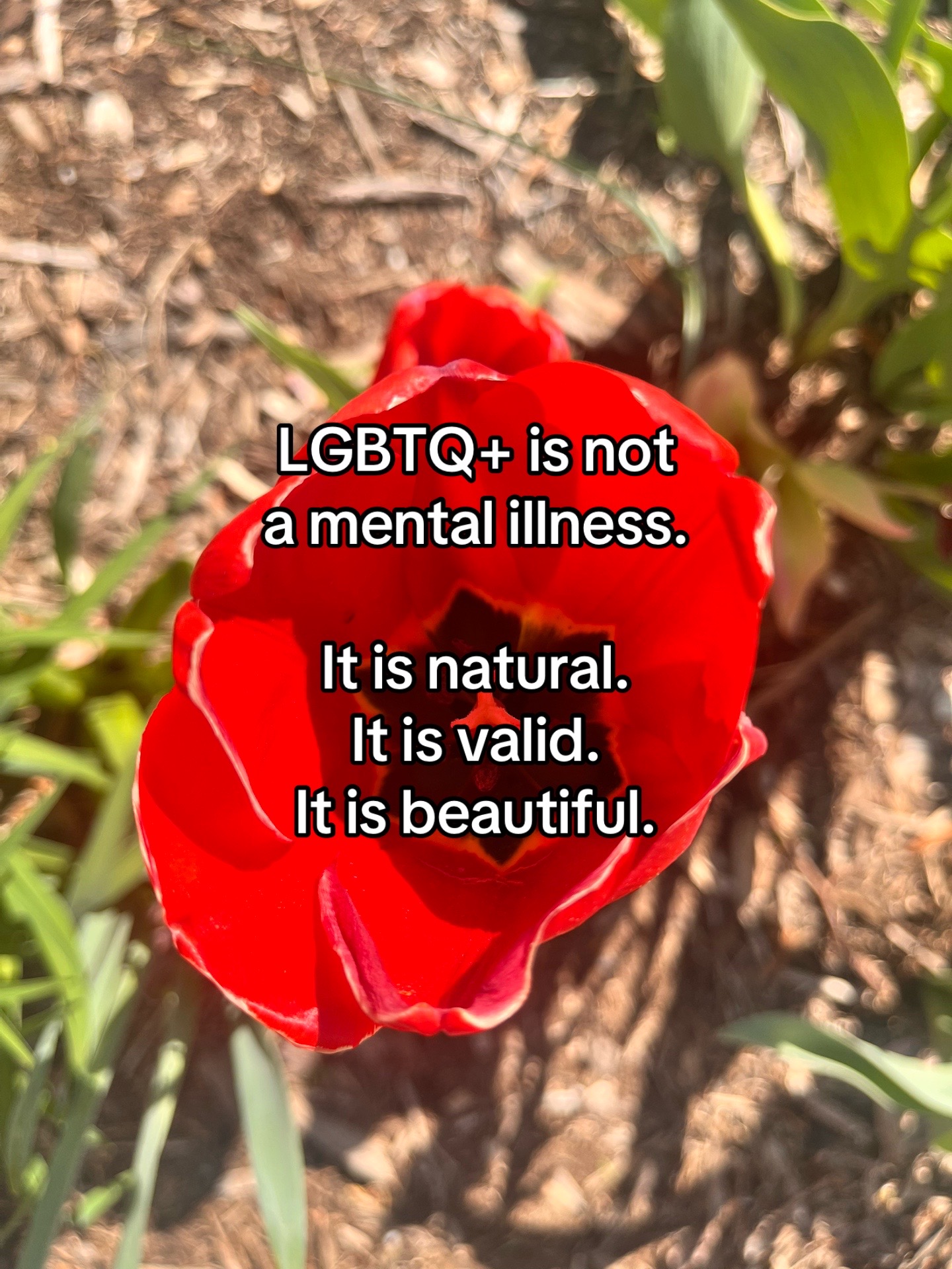 @environmentalist bro
