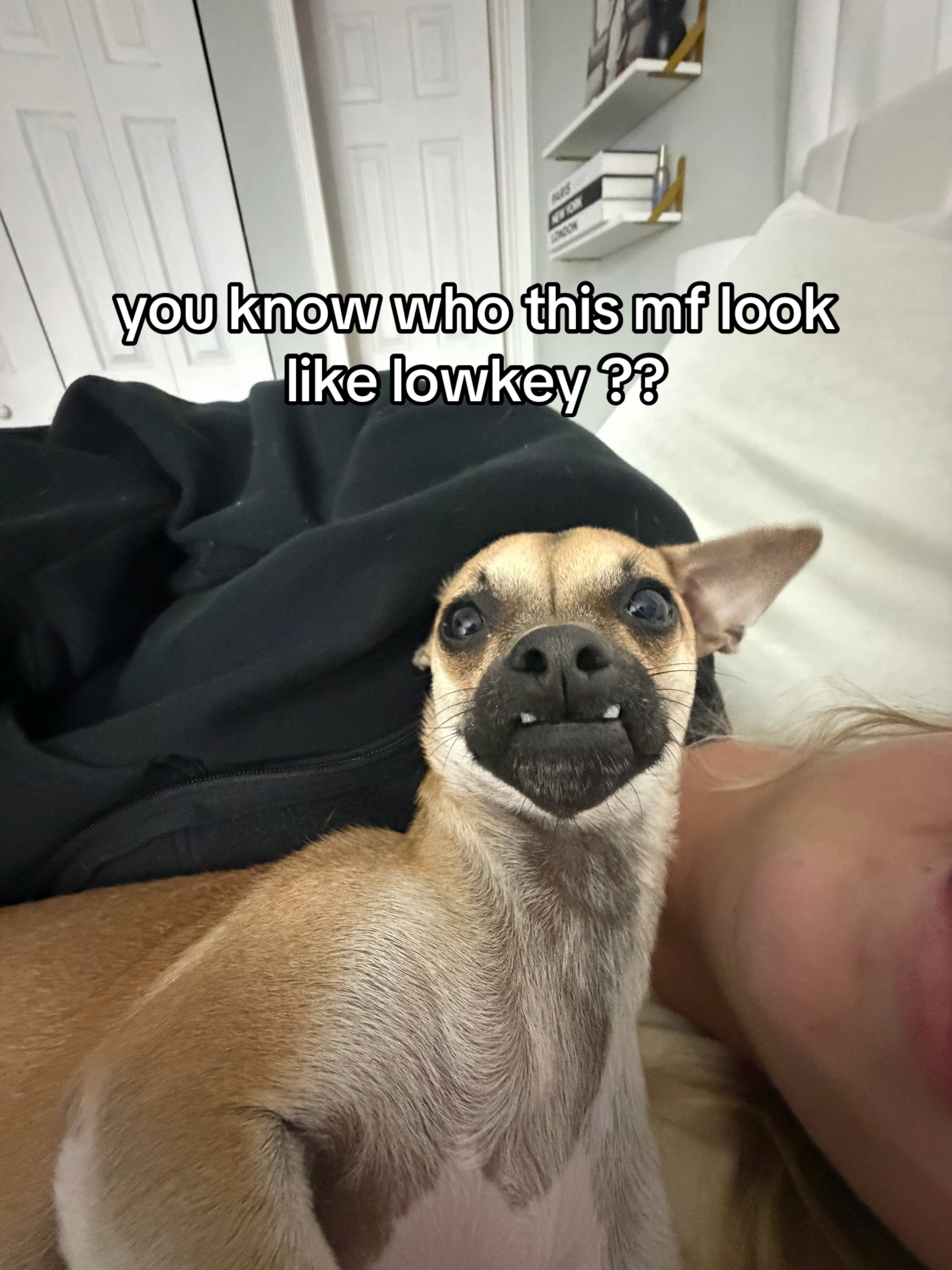 @madilyntweedy_