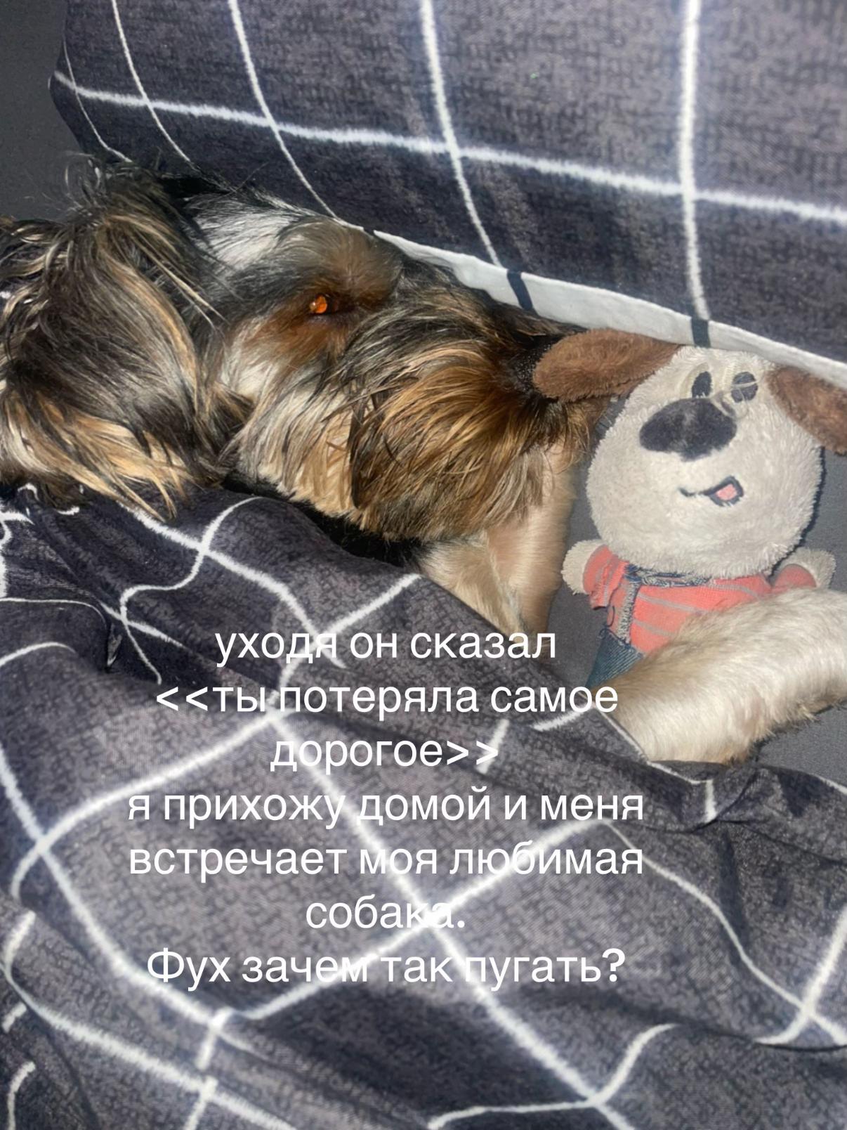 @dixwsppxex