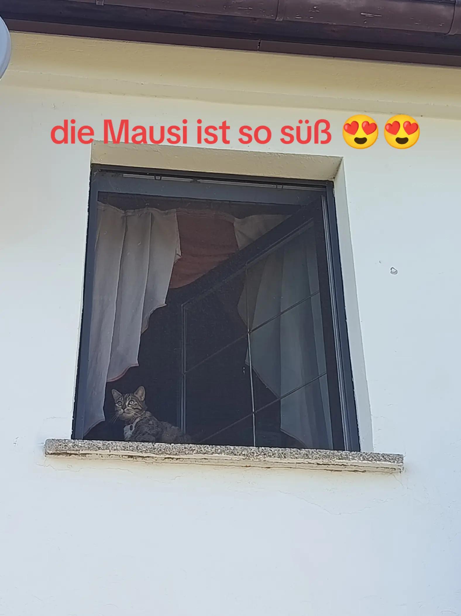 @Lissi Blume