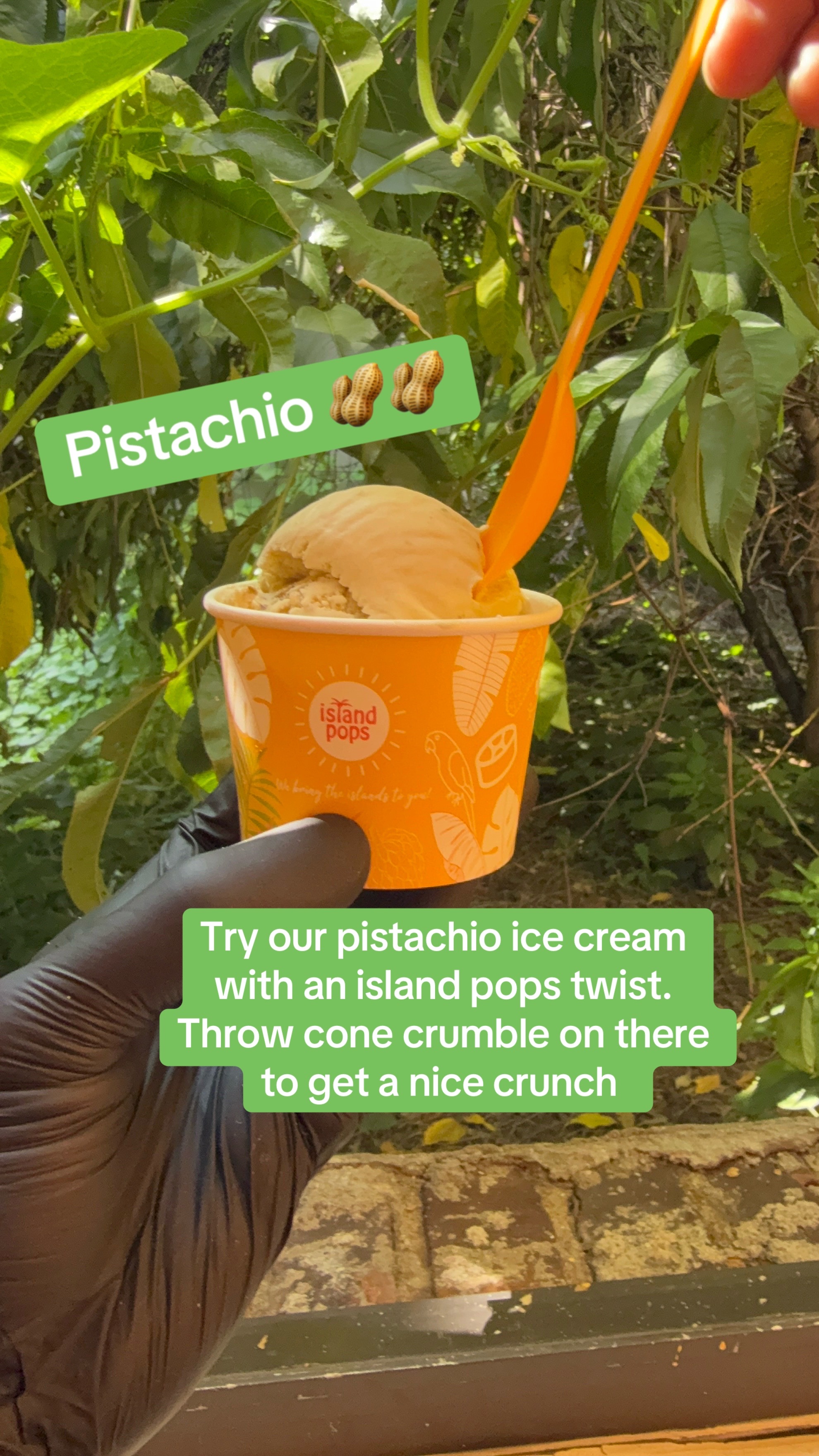 @Island Pops