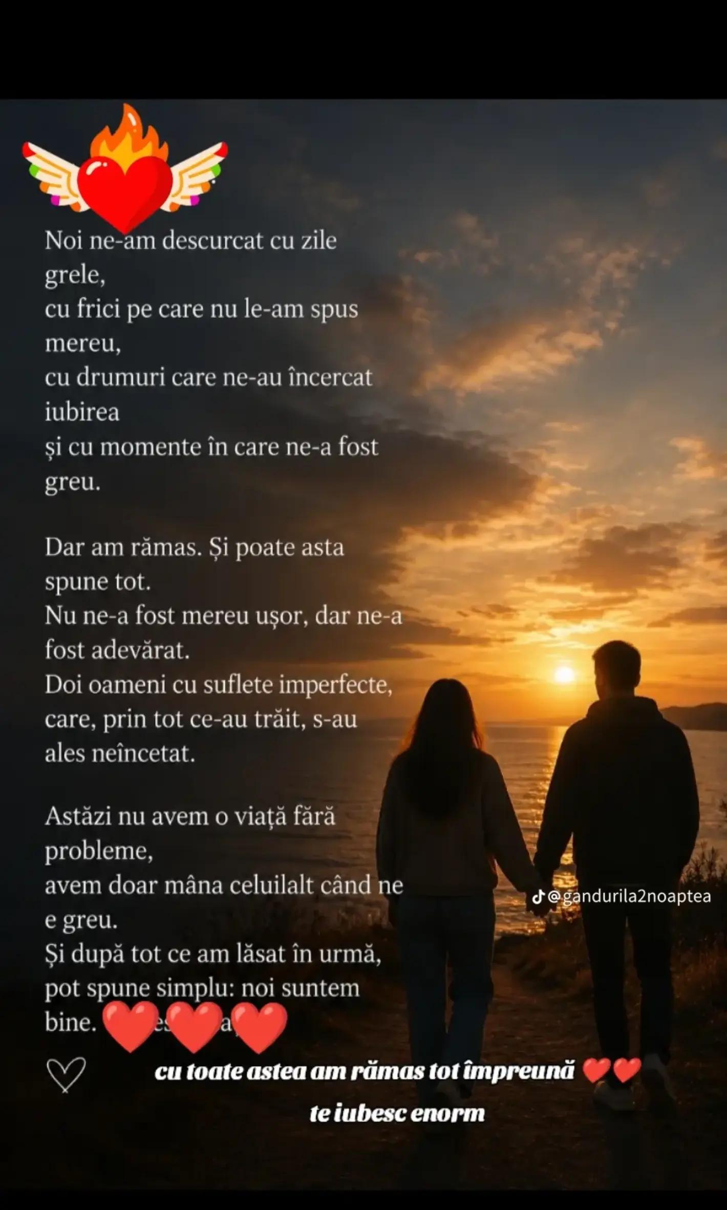 @Mihaela Dumitrache