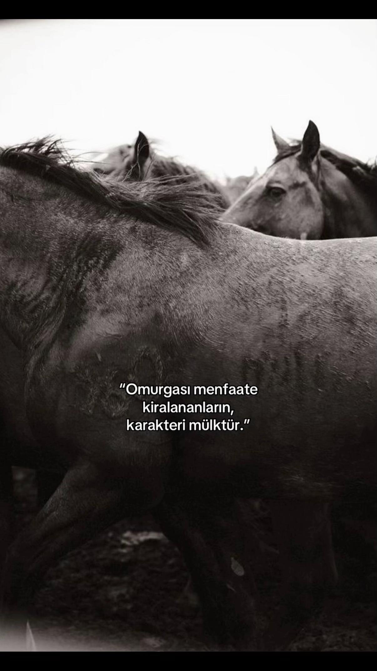 @Bülent ERKUŞ