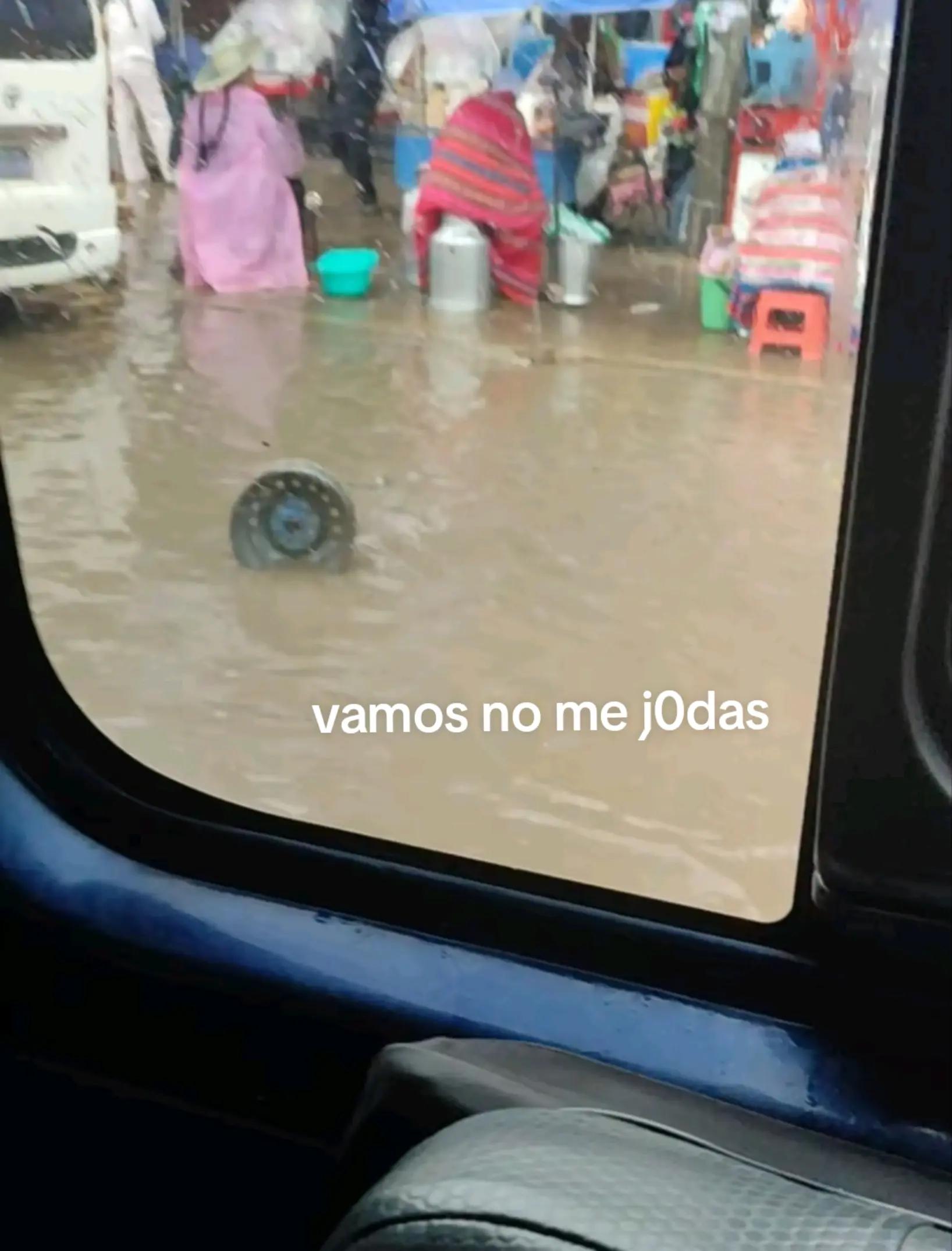 @Nacira Rocha