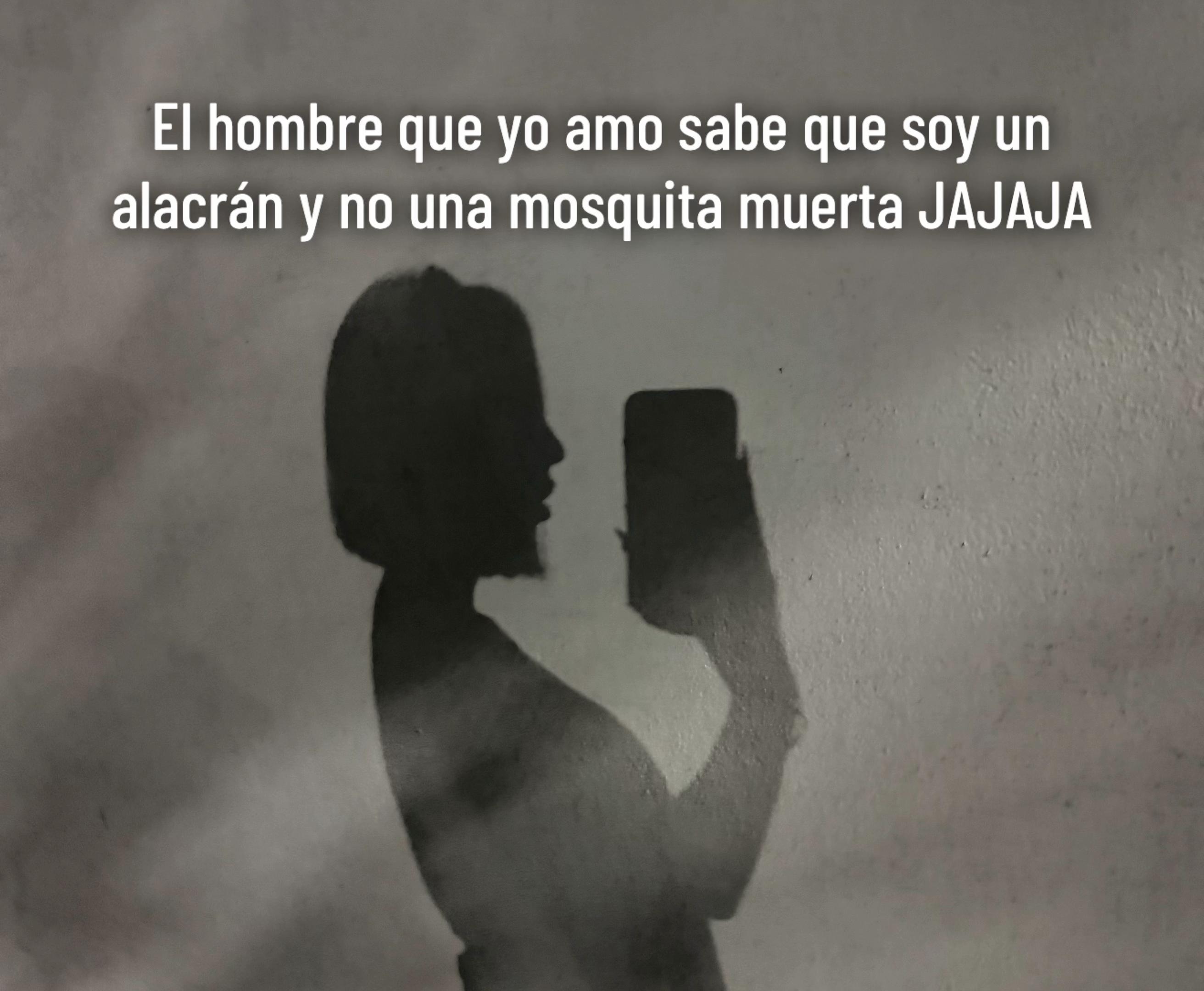 @soymindyrdz