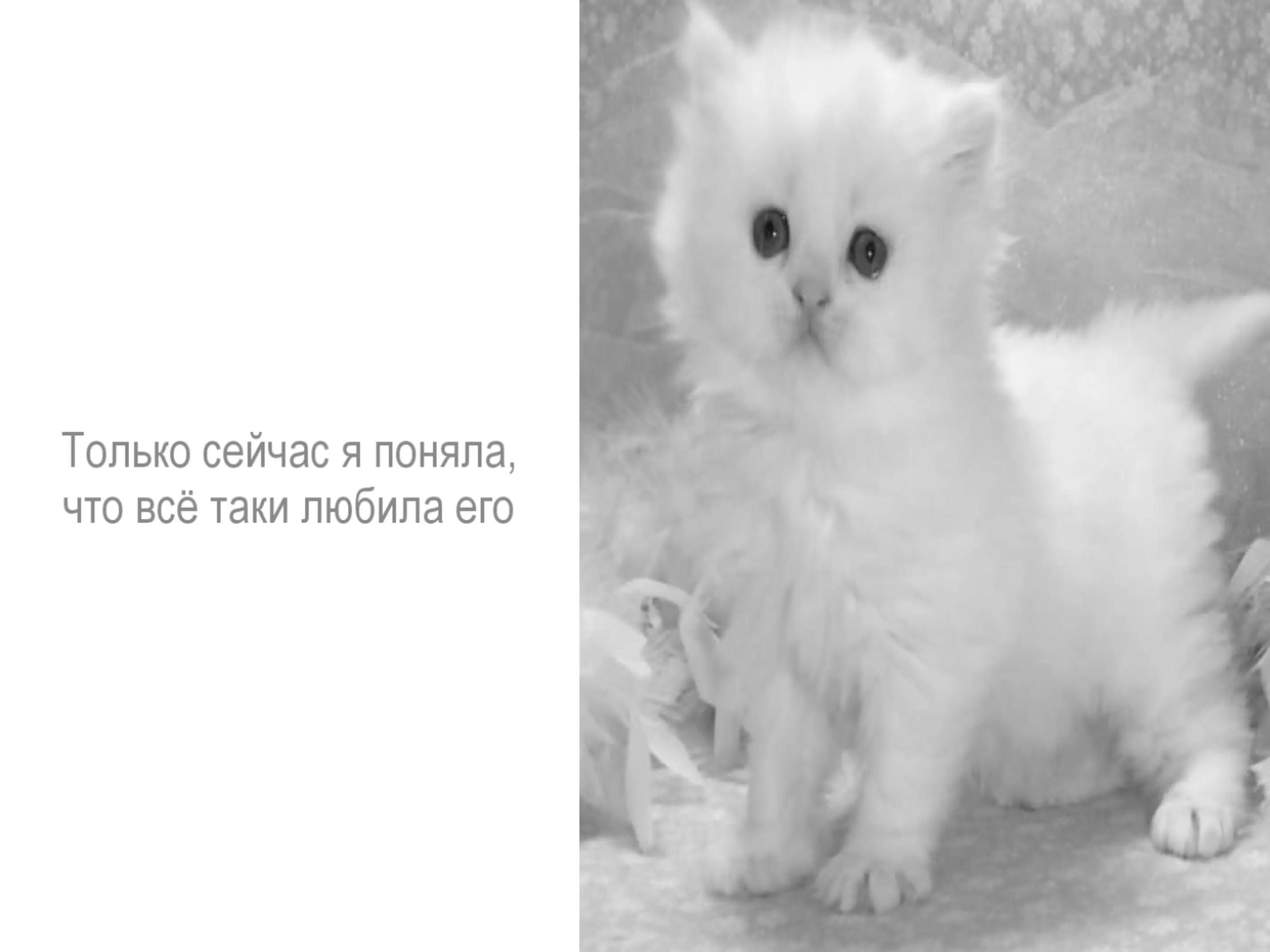 @Рикуся