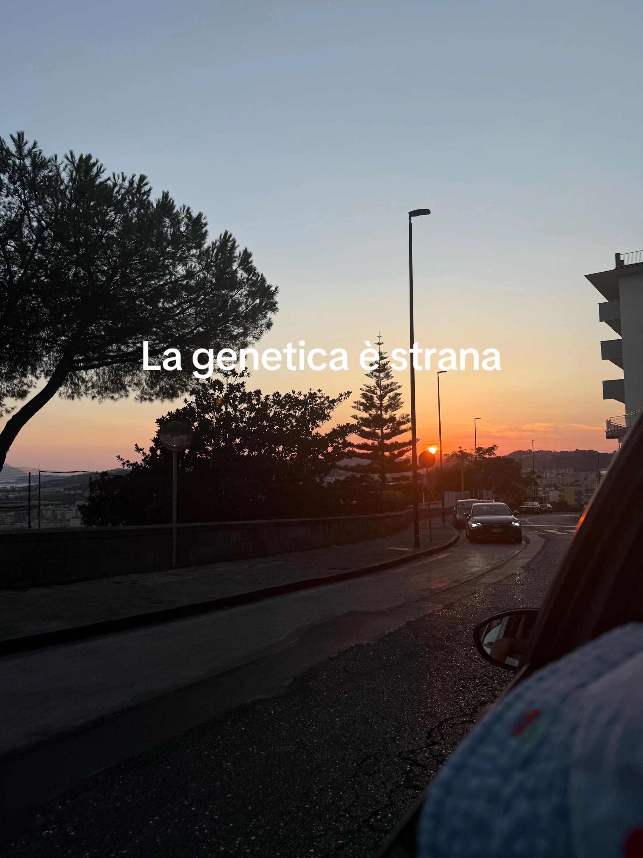 @SarahFrancesco💍