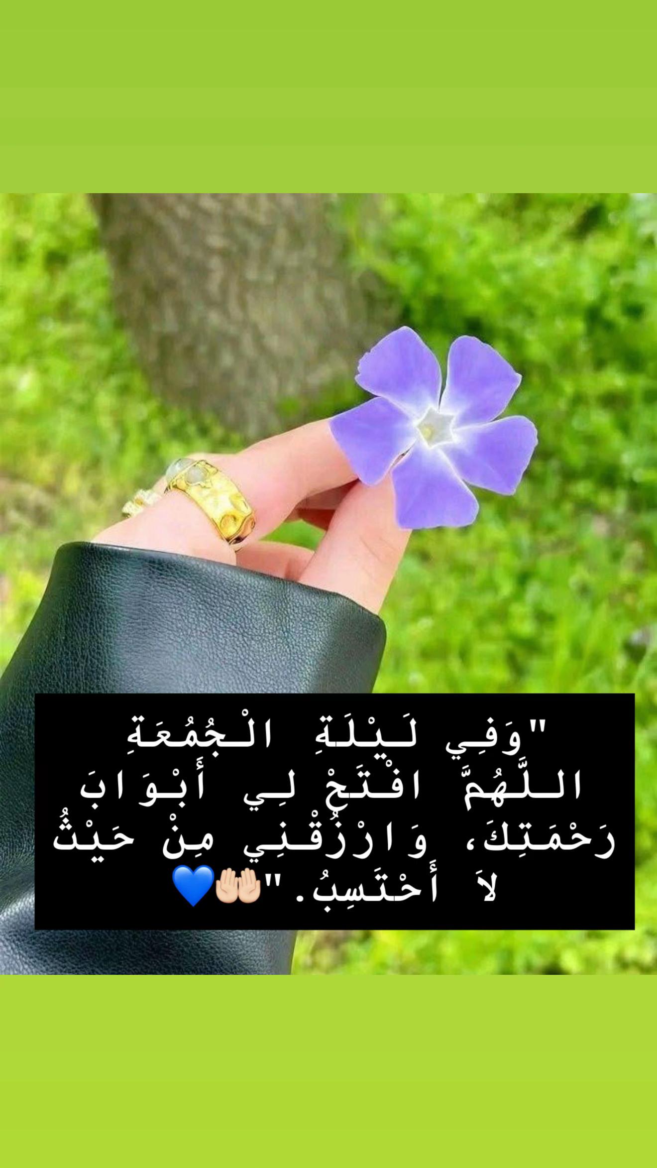 @رقہہة أنہہثہہى