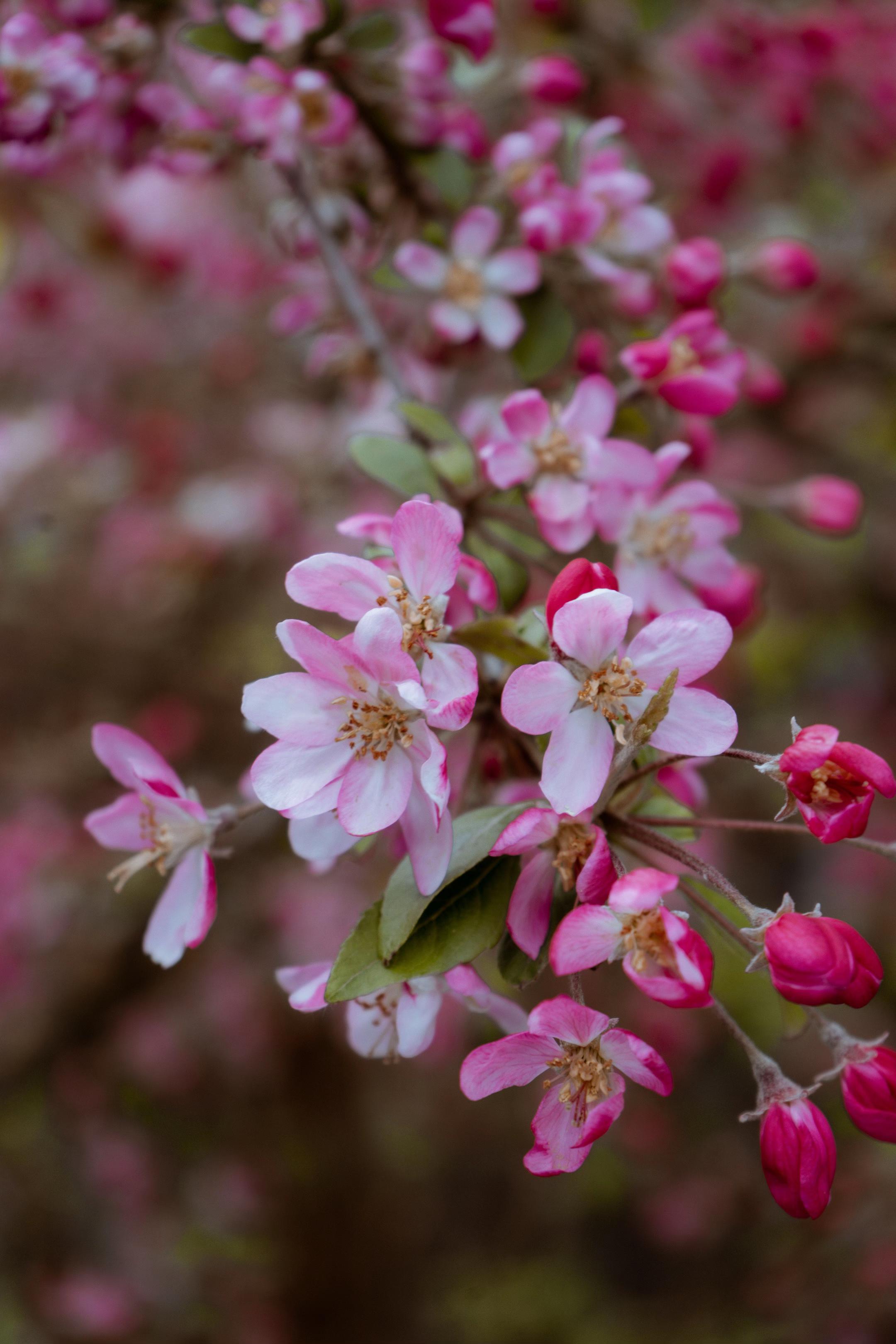 @Andreea Photography ๐ท๐ผ
