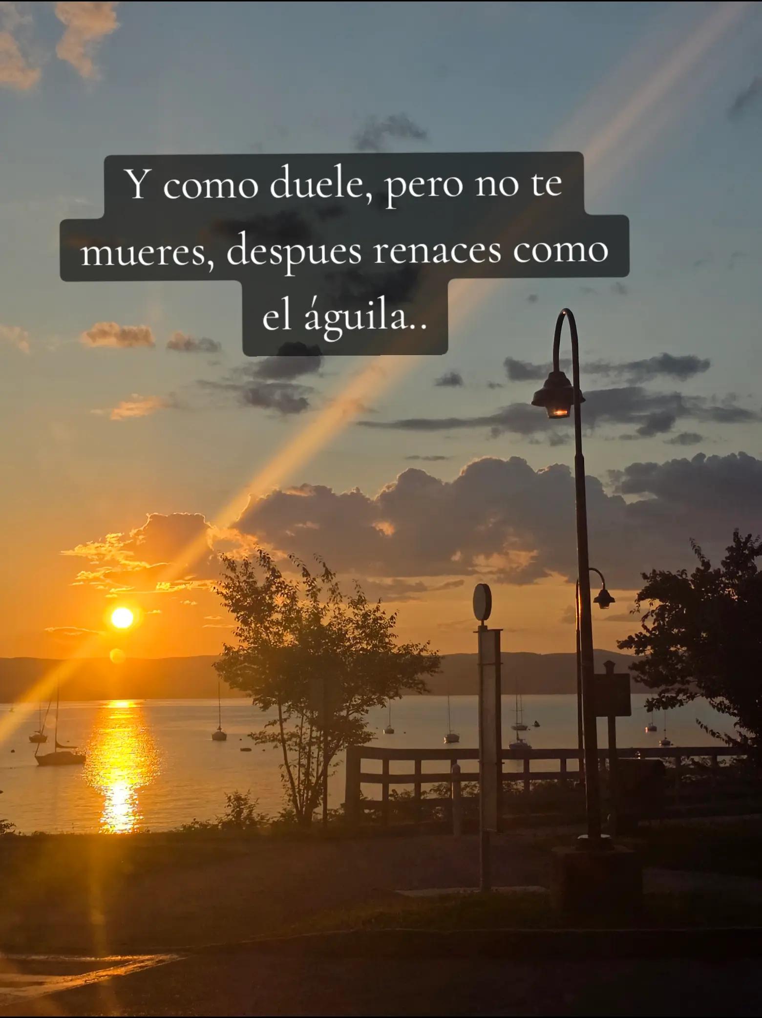 @🌸D͜͡i͜͡a͜͡n͜͡a͜͡ ❤ 🇪🇨 🇺🇸