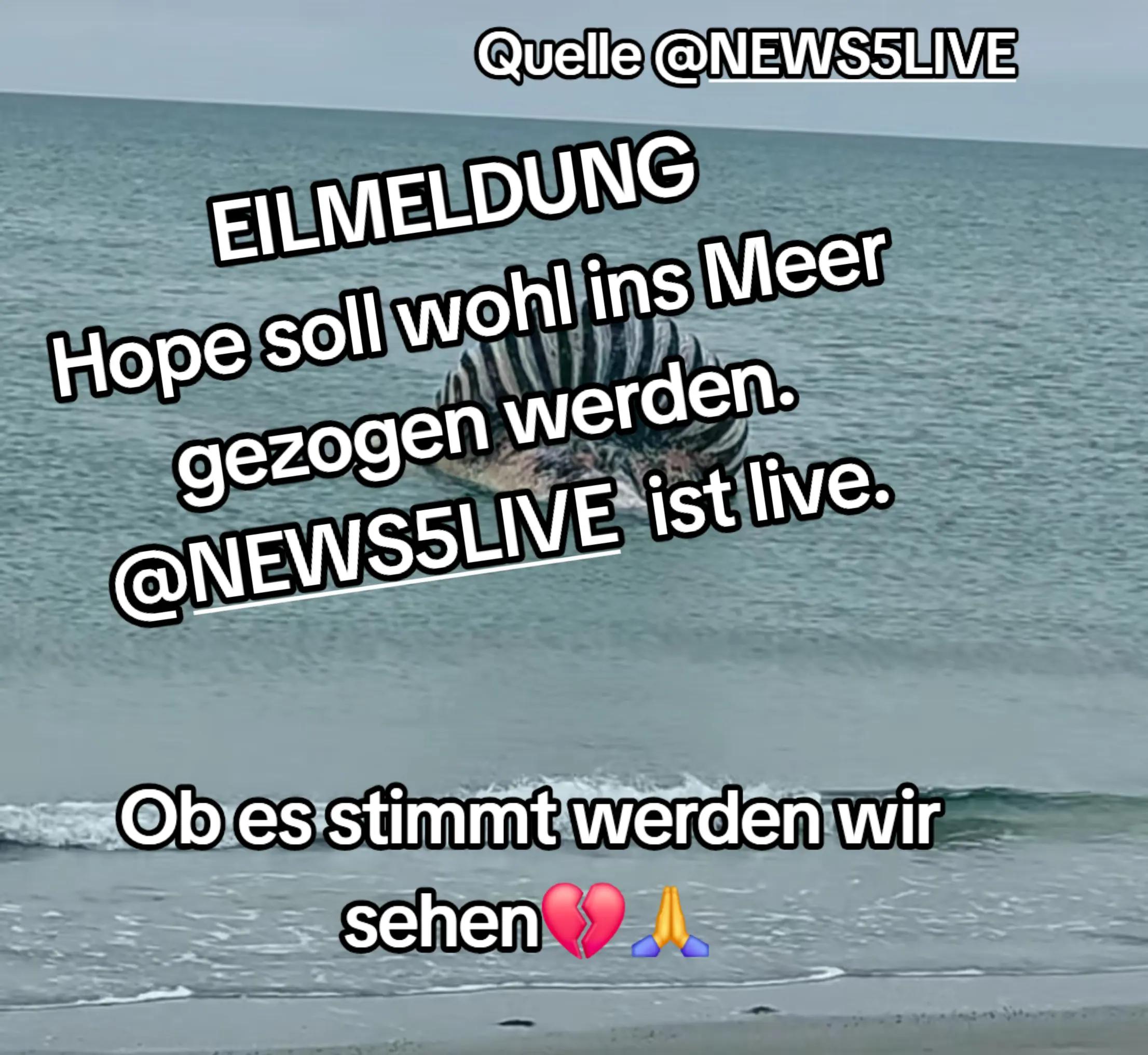 @🐳📚❤️DreamySusu❤️📚🐳