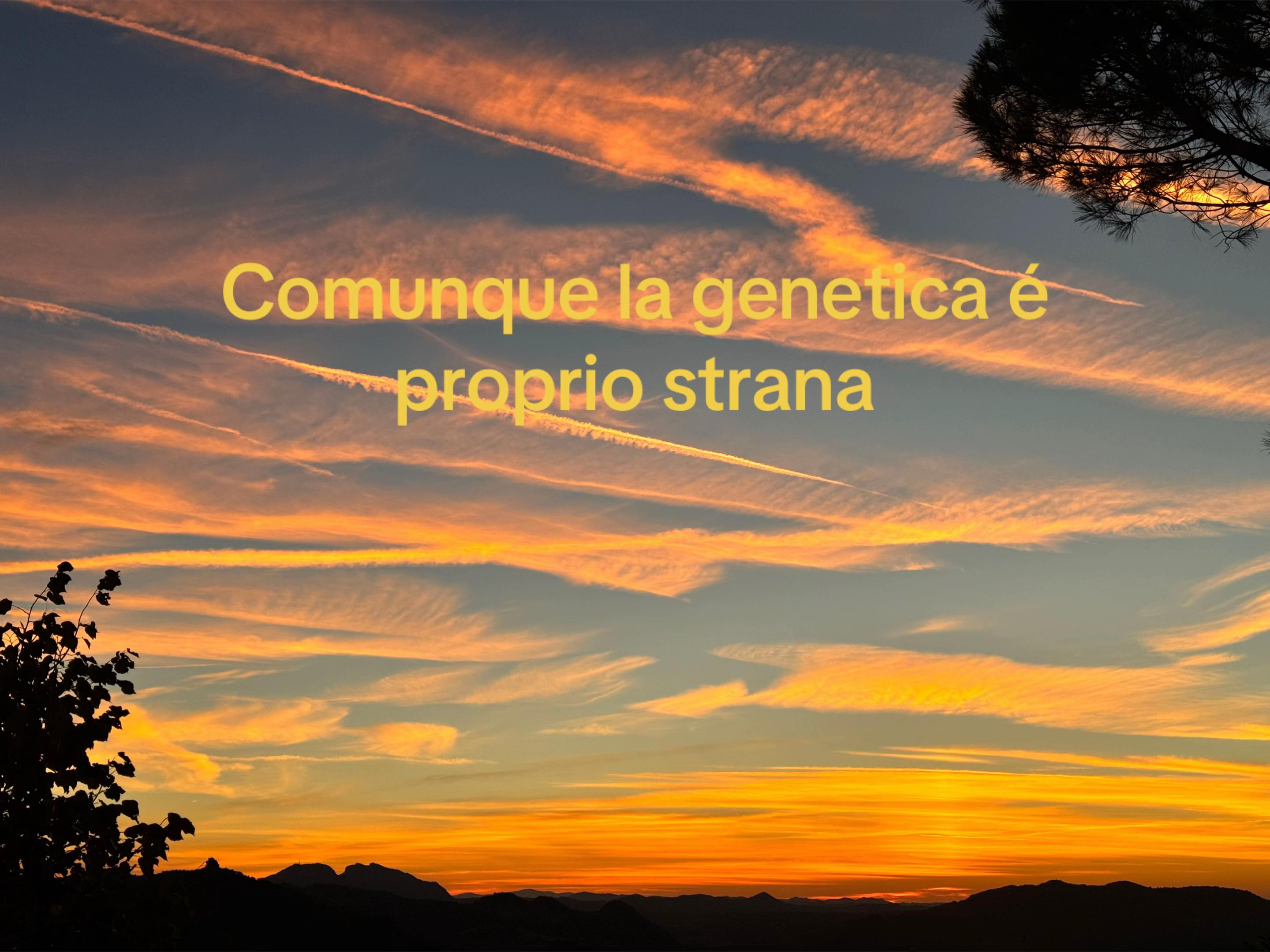 @Matilde Brusa