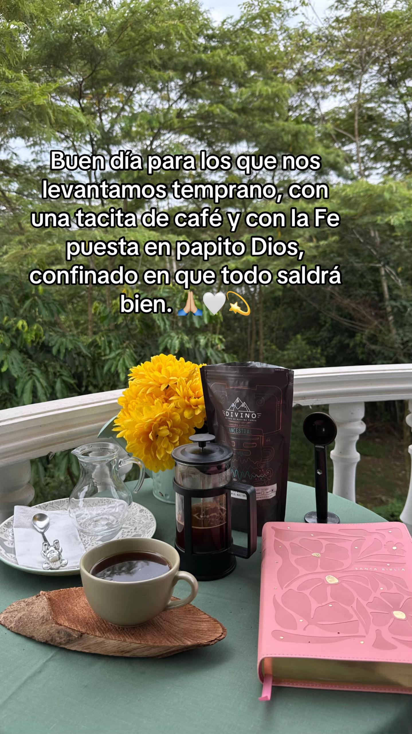 @Sandra Castro