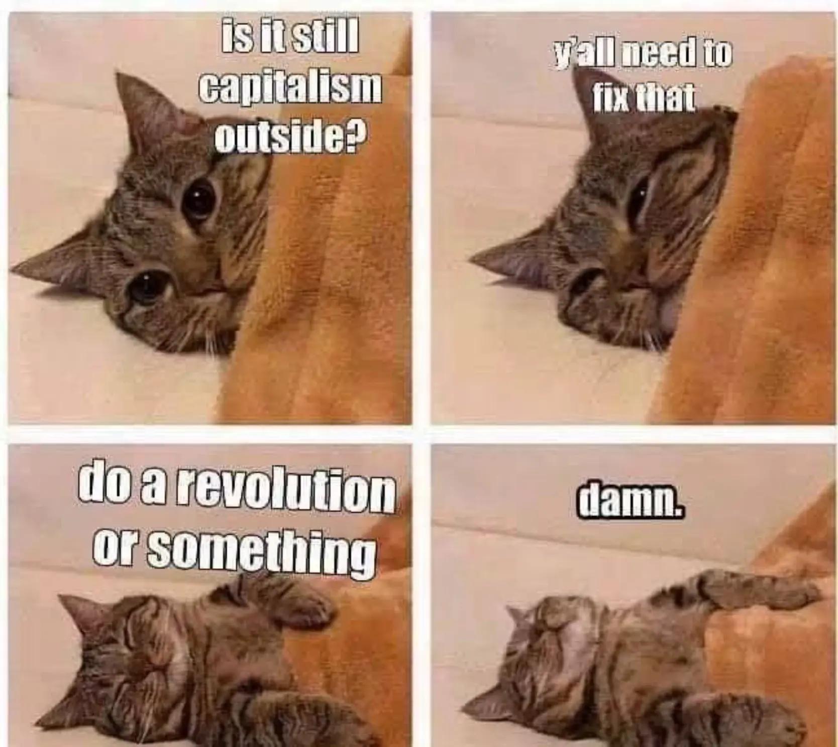 @chmillefee
