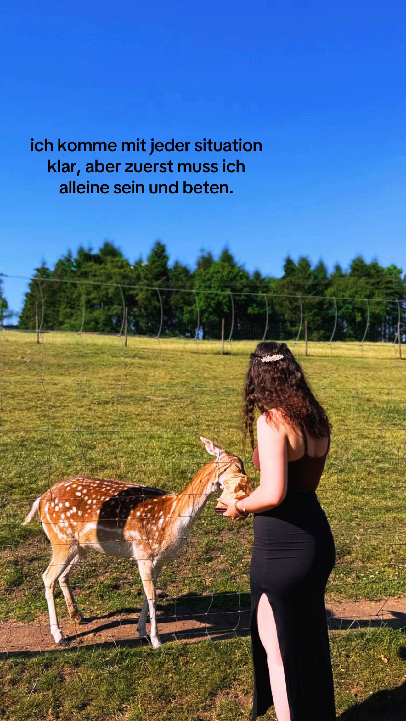 @alinchen
